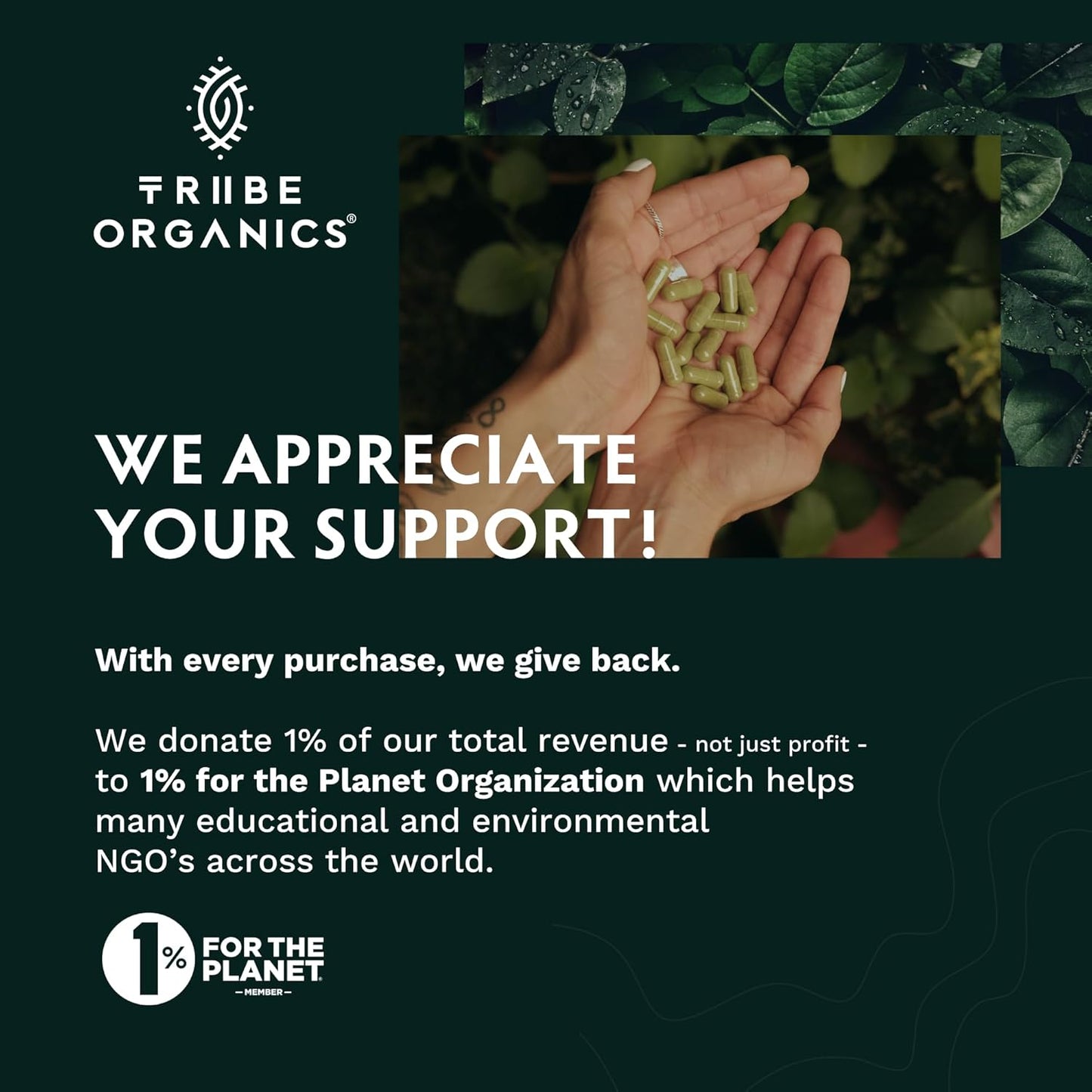 TRIBE ORGANICS Balance Bundle - 120ct KSM-66 Ashwagandha + 120ct Turmeric Curcumin C3 Complex