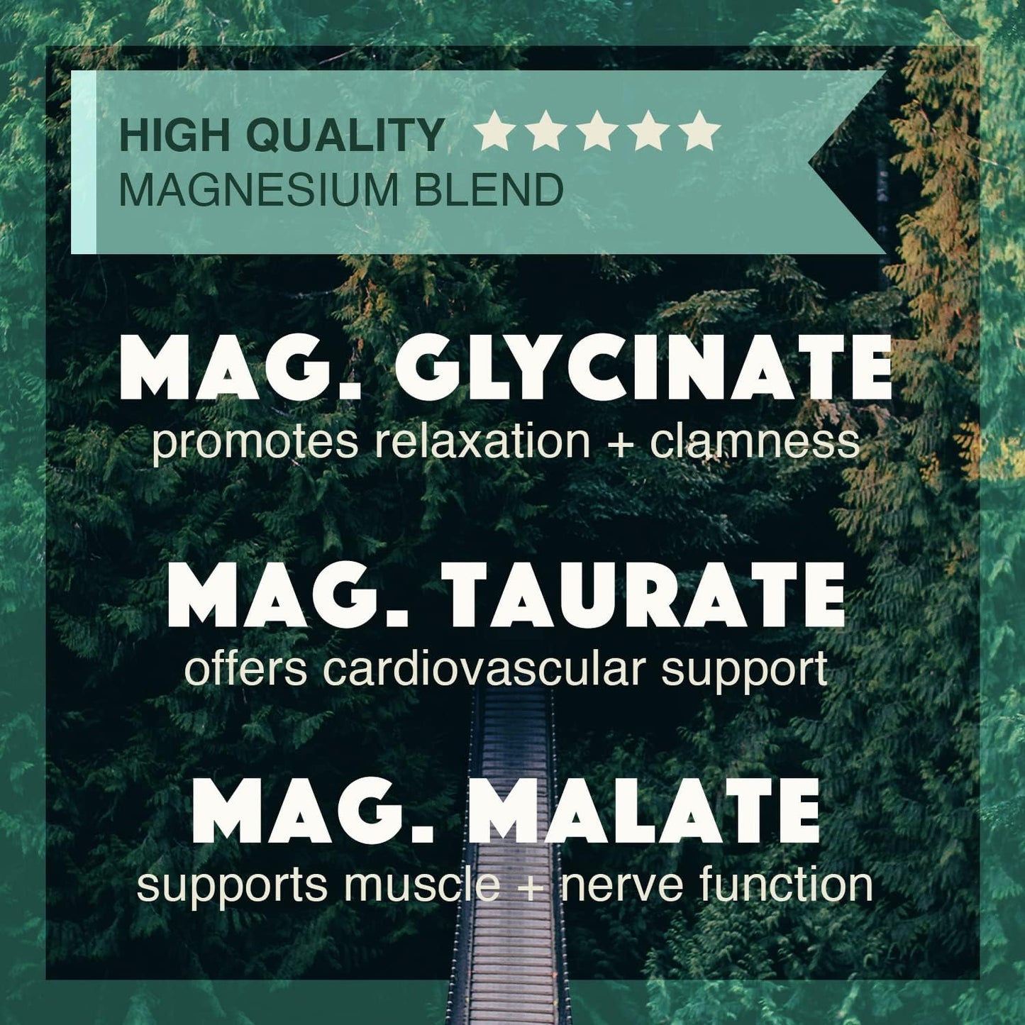 Triple Calm Magnesium & B-CALMplex Bundle - Natural Stress Relief Supplements for Calmness, 210 Capsules Total