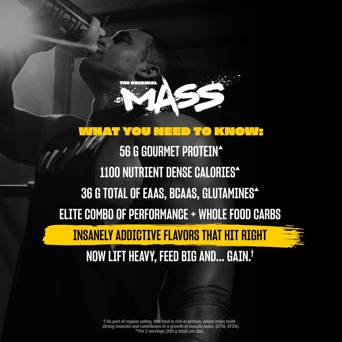 Triple Chocolate Mutant Mass Weight Gainer Protein Powder - High Calorie Mass Gainer for Muscle Gain - 5 lb