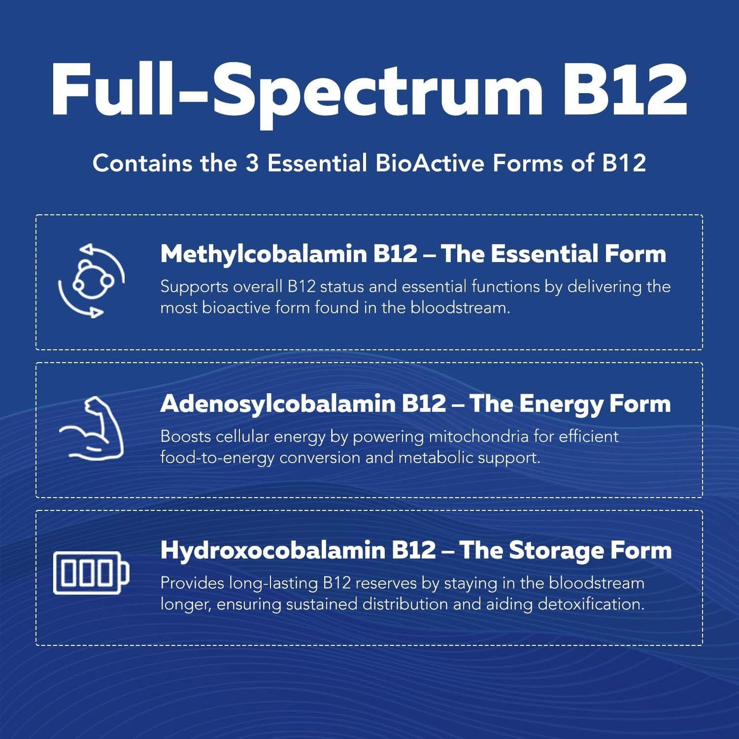 Triquetra Health BioActive B Vitamin Complex - Methylated with Methylfolate & B12 - BenfoPure® B1 & Pantesin® B5 - 60 Servings