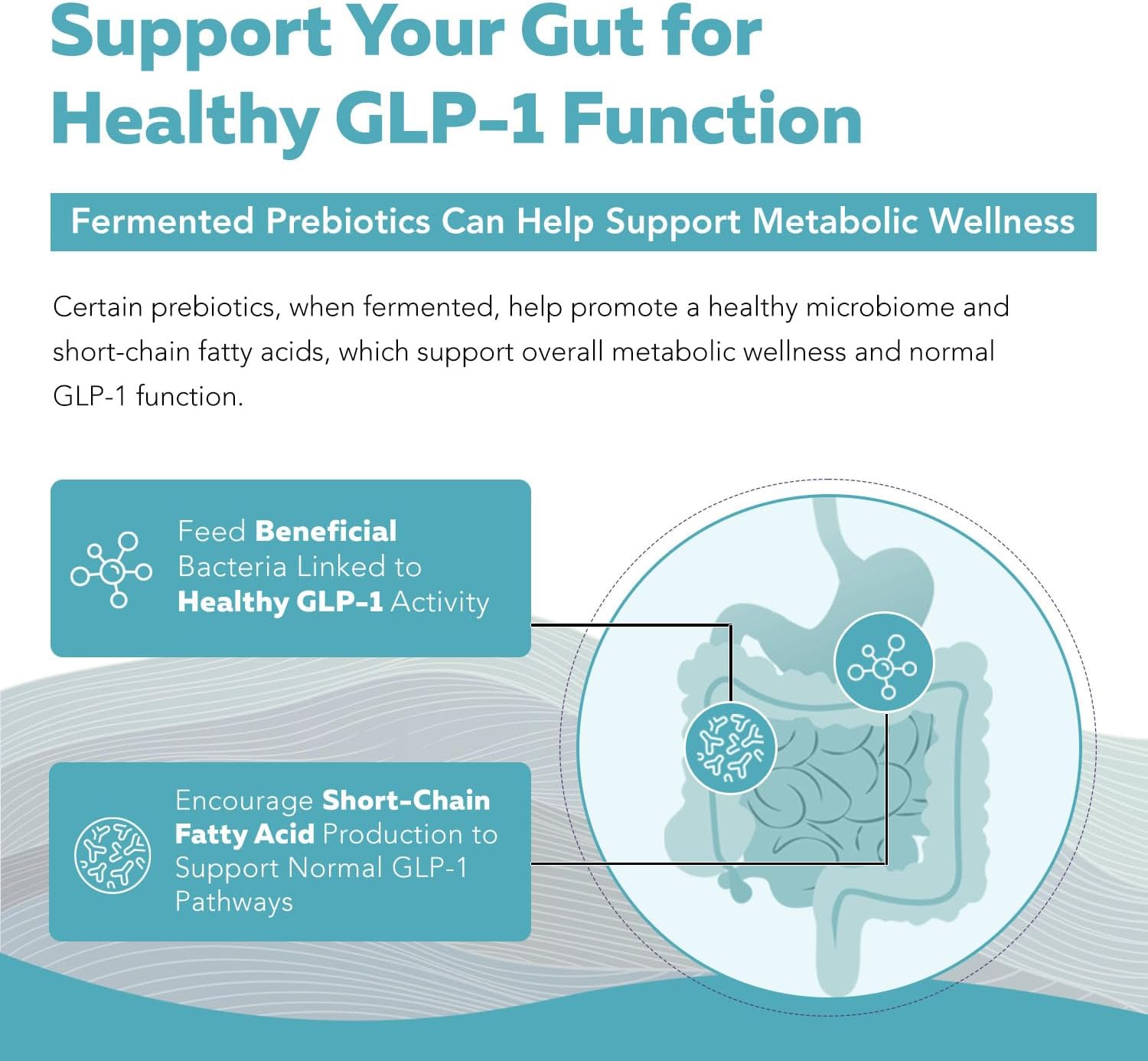 Triquetra Health GLP-Pre: Metabolic Support Fiber & Mushroom Complex - Promotes Long Term Gut Health - Clinically Validated Non-Digestible Fiber