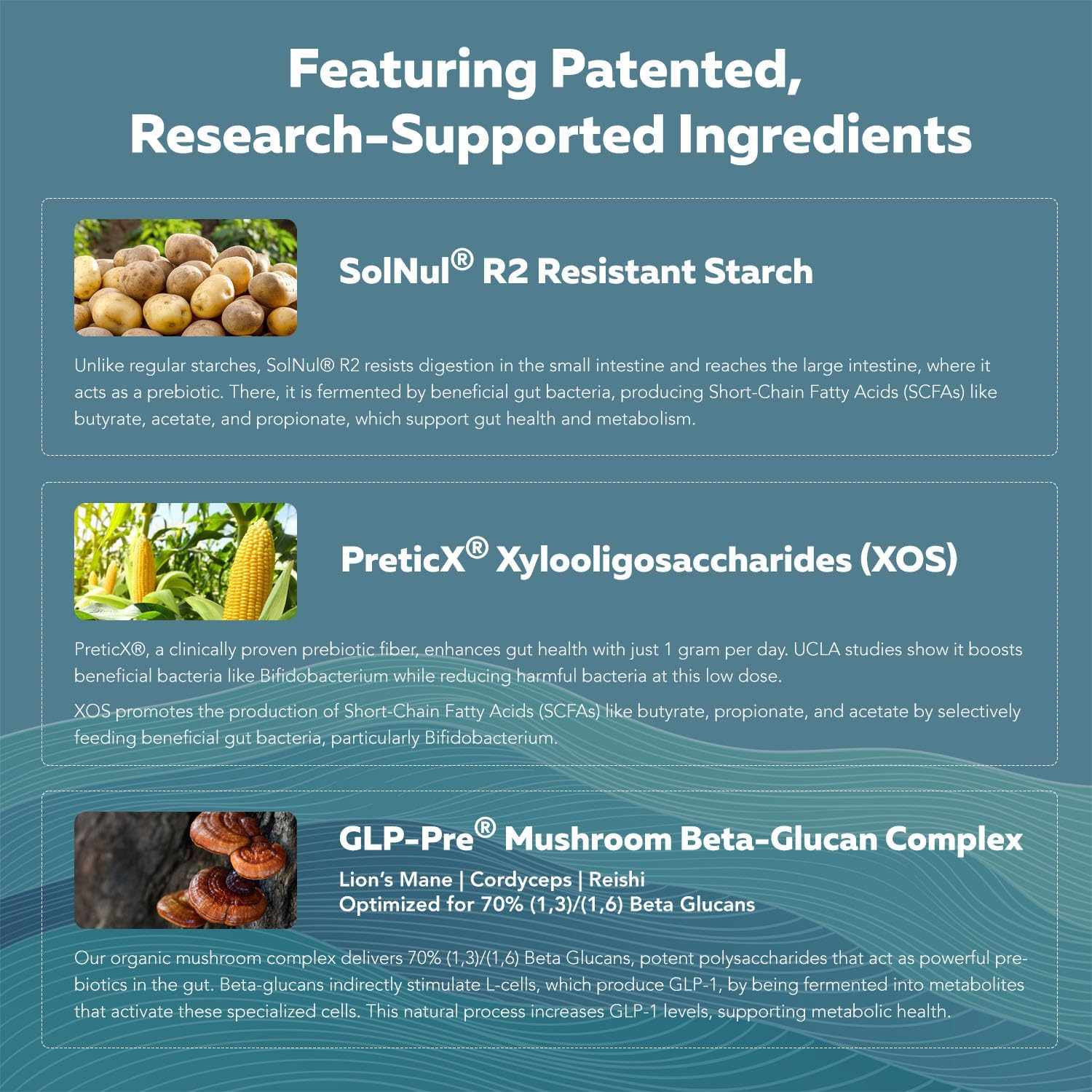 Triquetra Health GLP-Pre: Metabolic Support Fiber & Mushroom Complex - Promotes Long Term Gut Health - Clinically Validated Non-Digestible Fiber