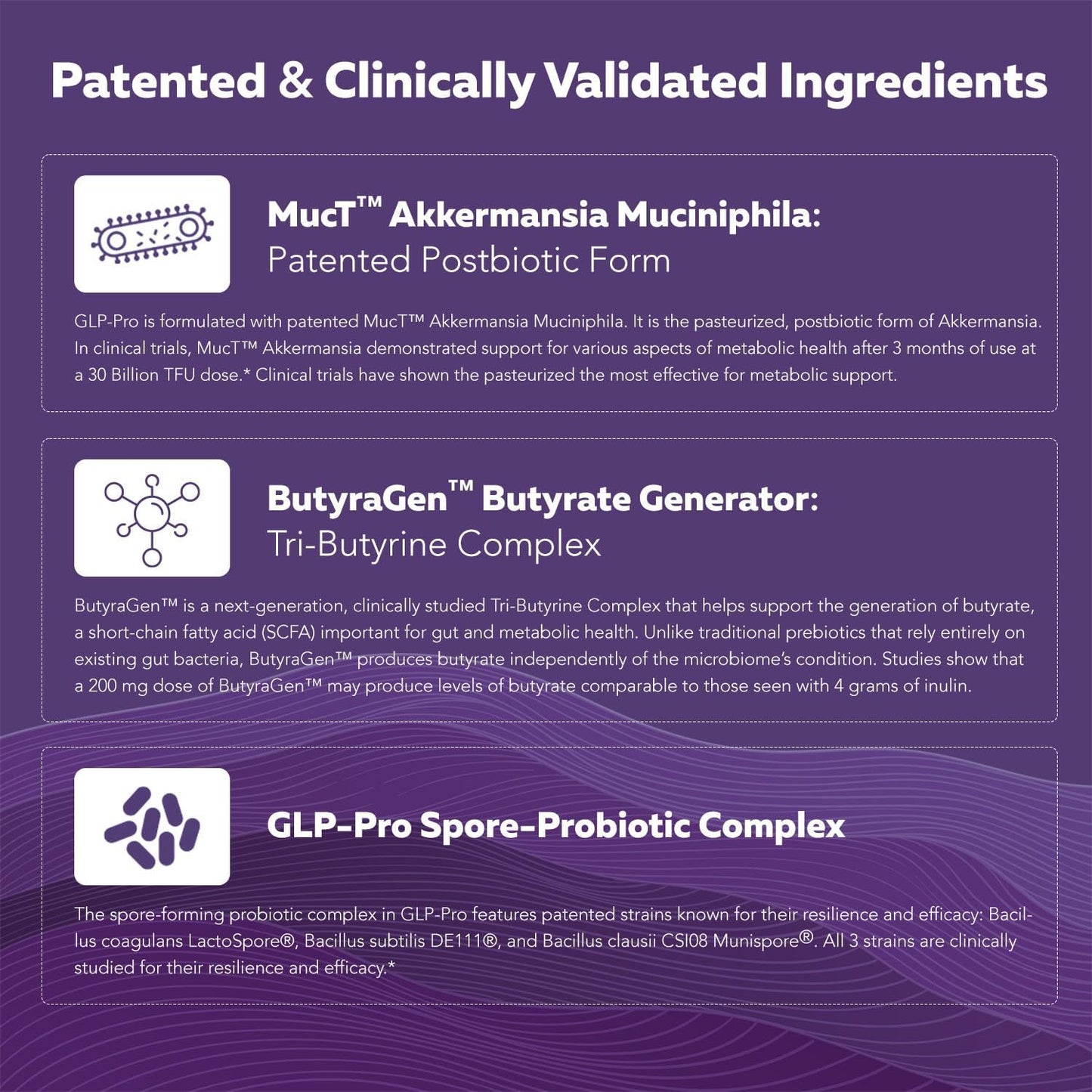 Triquetra Health GLP-Pro: Probiotic for GLP-1 Support with Akkermansia, Spore Forming Probiotics, and Butyrate - 30 Count