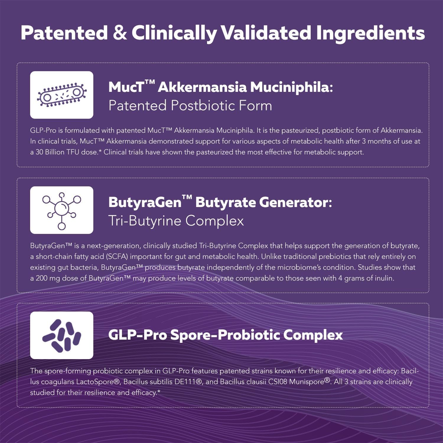 Triquetra Health GLP-Pro: Probiotic for GLP-1 Support with Akkermansia, Spore Forming Probiotics, and Butyrate - 30 Count