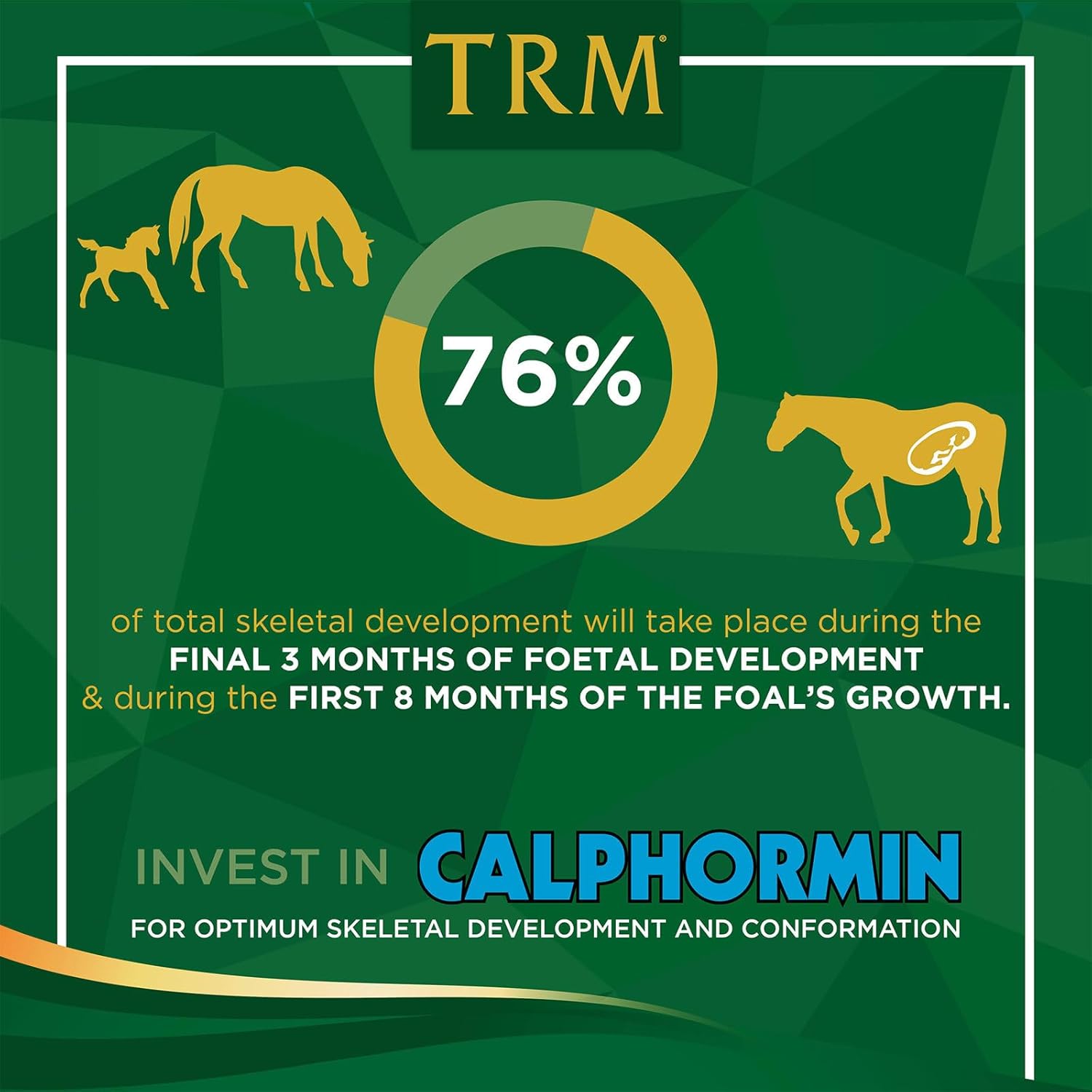 TRM Calphormin Nutrient-Rich Horse Supplement for Young Horses - 6.6 lb Bucket