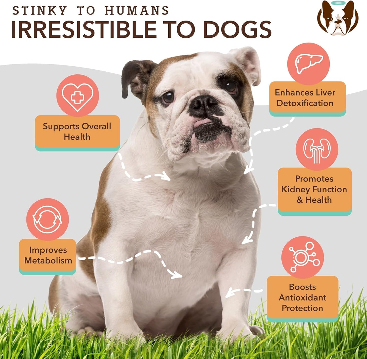 Turkey Flavored Liver & Kidney Supplement Chews for Dogs - Supports Digestion and Immune Health - Milk Thistle - 90 Chews