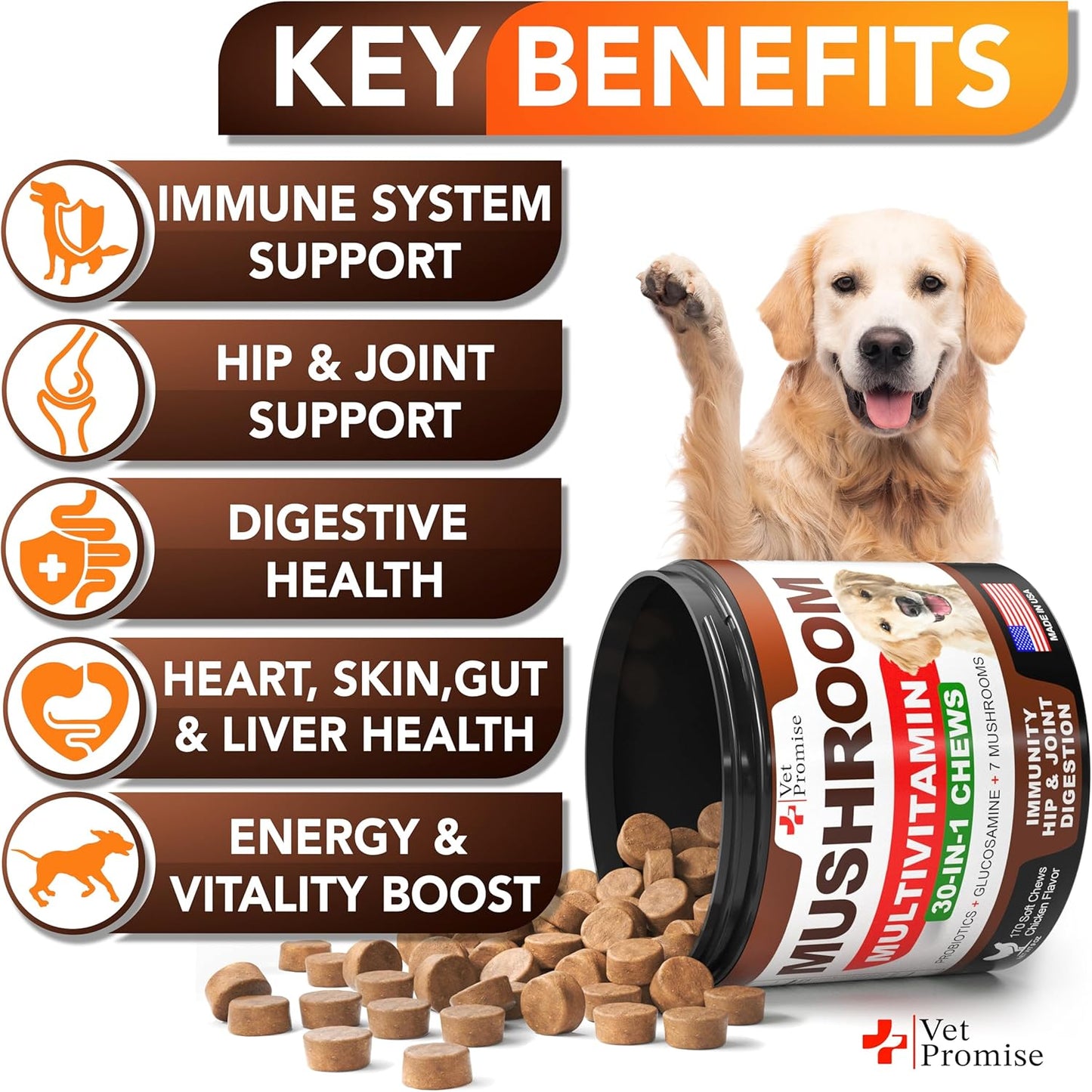 Turkey Tail & Lions Mane Mushroom Chews for Dogs - Immunity & Joint Support - 170 Count - Made in USA