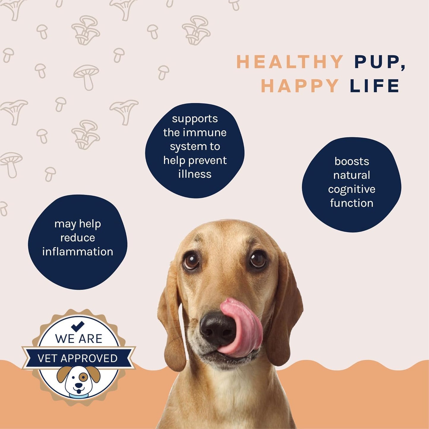 Turkey Tail Mushroom Immunity Boost Powder for Dogs - Allergy & Immune Support Supplement for Small/Large Breeds - Good Trouble Pets 1.9 oz Beef Flavor