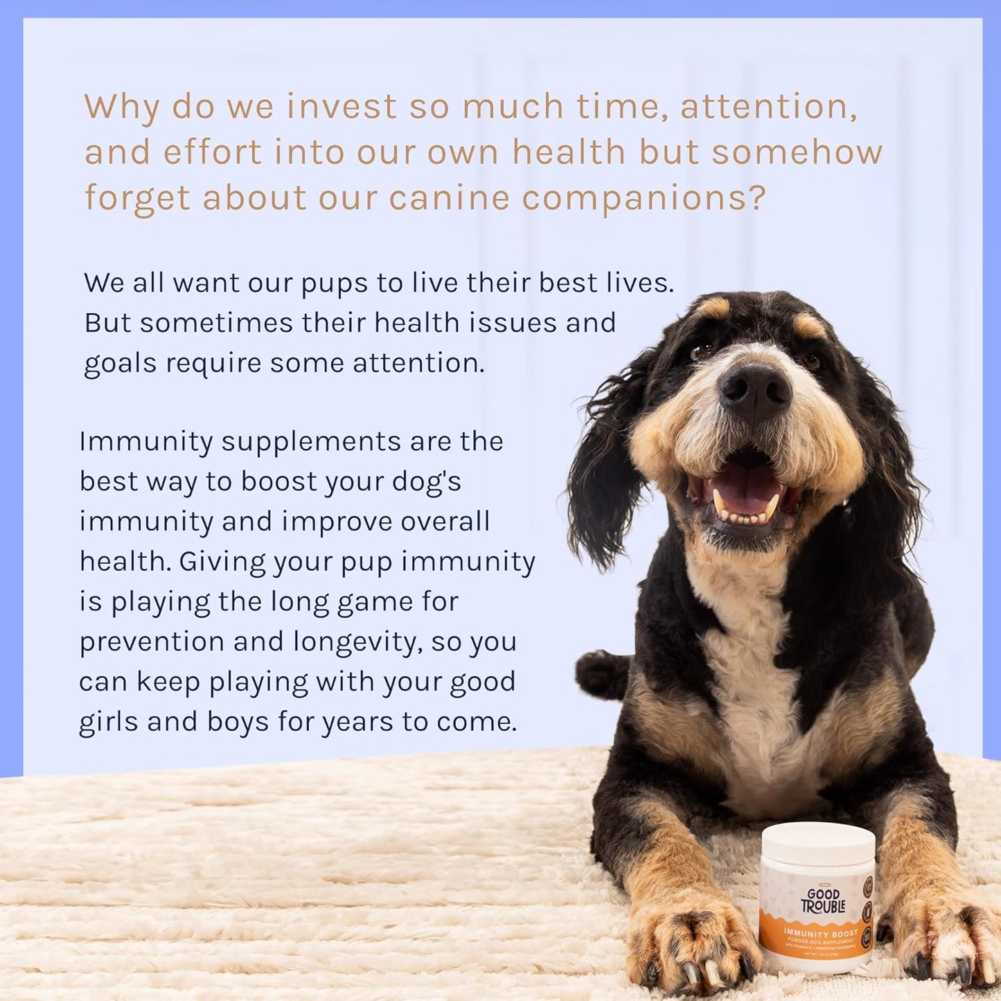 Turkey Tail Mushroom Immunity Boost Powder for Dogs - Allergy & Immune Support Supplement for Small/Large Breeds - Good Trouble Pets 1.9 oz Beef Flavor