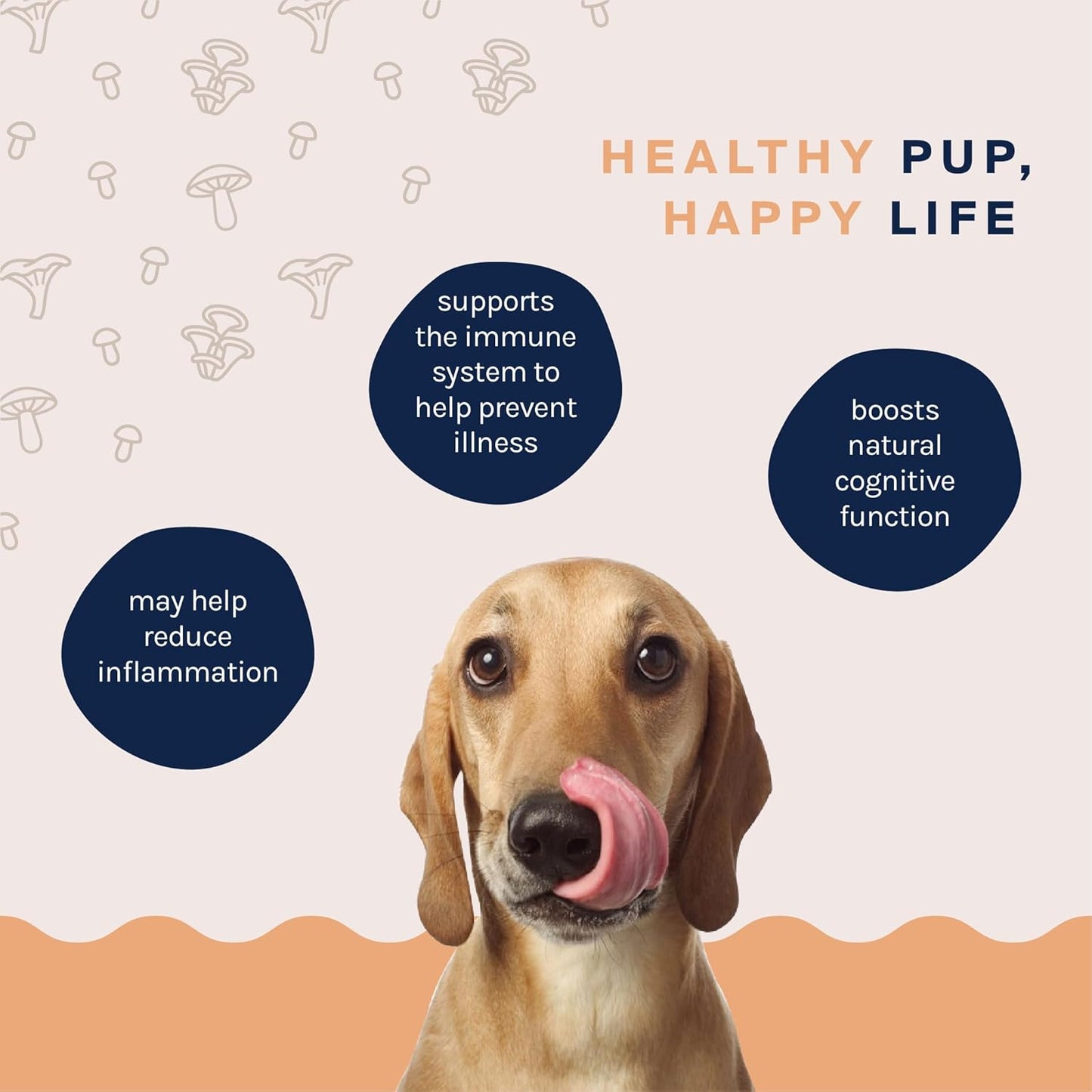 Turkey Tail Mushroom Immunity Boost Powder for Dogs - Allergy & Immune Support Supplement for Small/Large Breeds - Good Trouble Pets 1.9 oz Beef Flavor