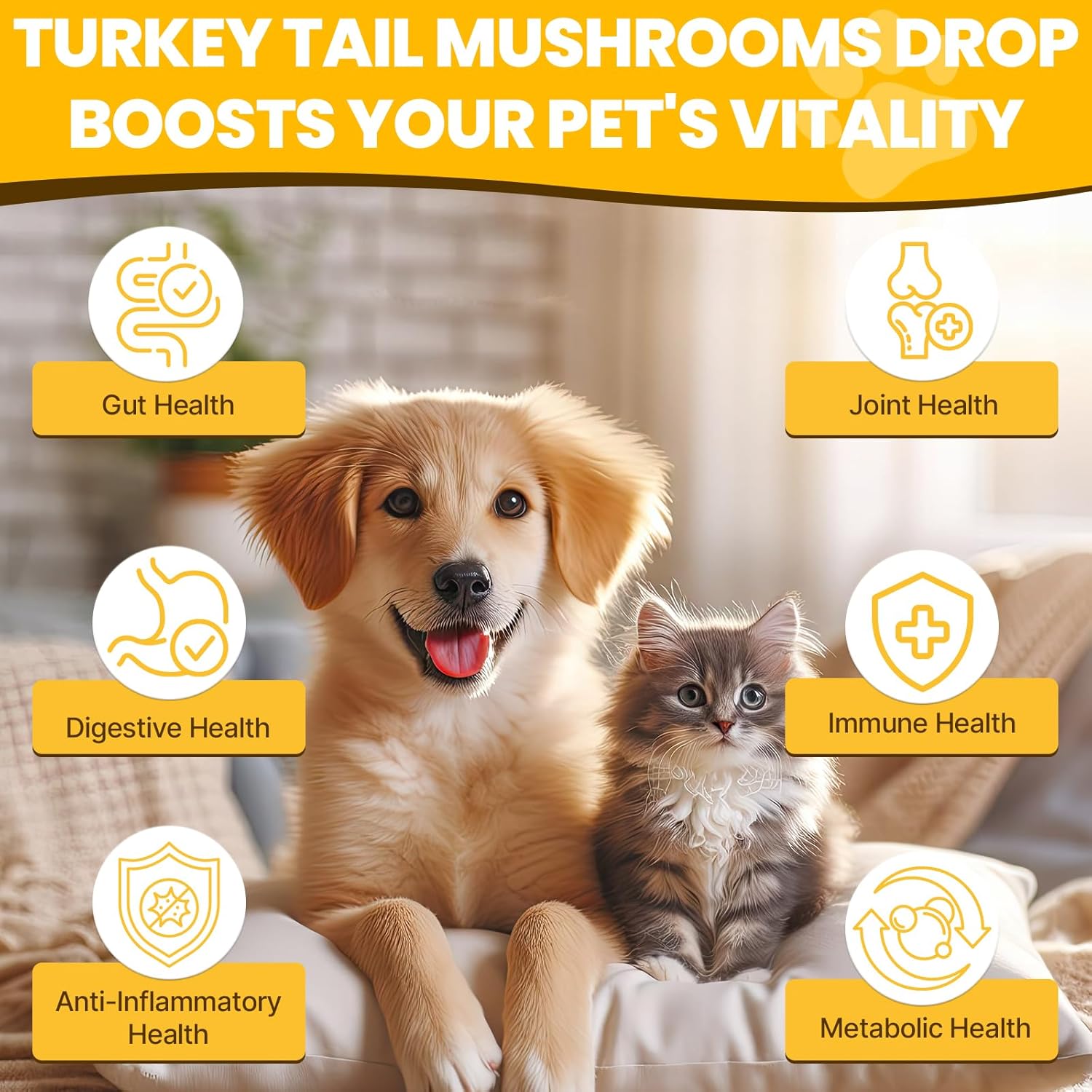 Turkey Tail Mushroom Pet Drops - 2000mg Immune & Digestive Support with Turmeric & Probiotic - Vet Formulated - 630ML