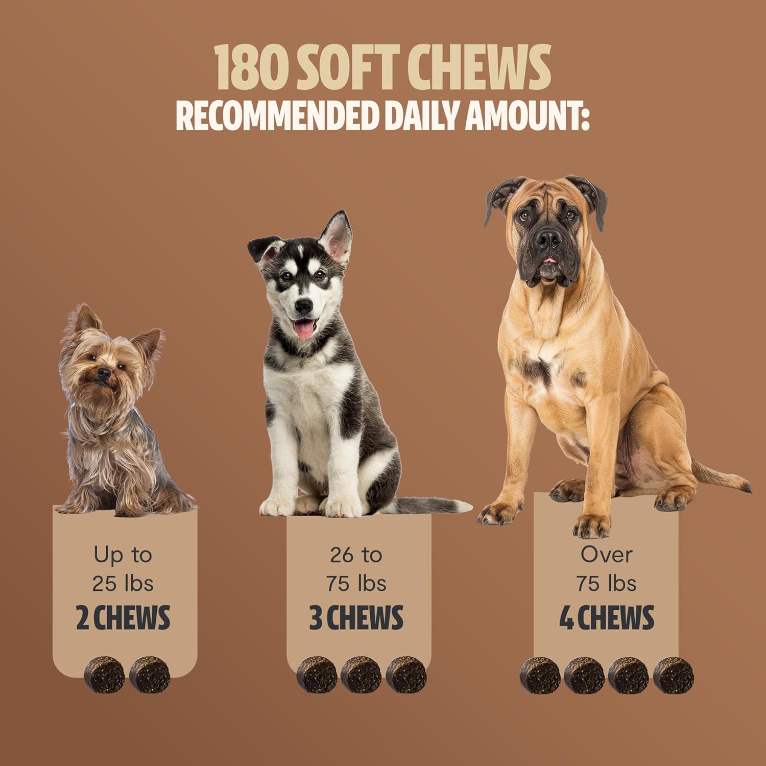 Turkey Tail Mushroom Supplement for Dogs - Immune Support, Lipoma Removal, Calming Treats (180 Soft Chews)