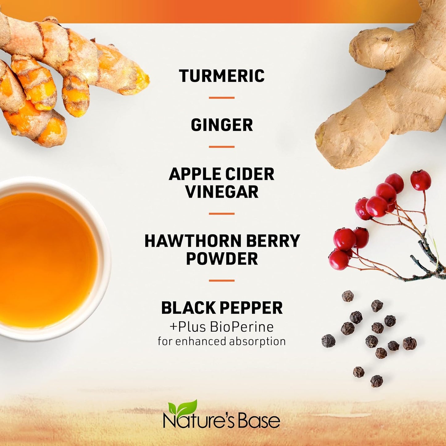 Turmeric Curcumin Supplement with Ginger, Apple Cider Vinegar, BioPerine - 95% Curcuminoids - 240 Capsules