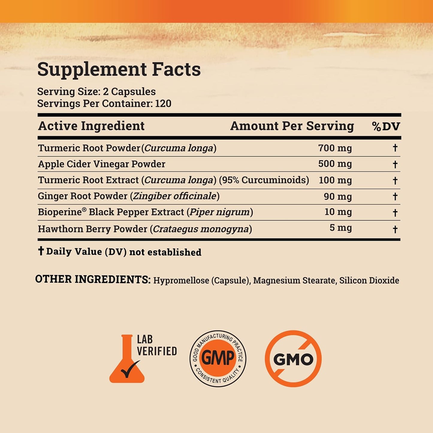 Turmeric Curcumin Supplement with Ginger, Apple Cider Vinegar, BioPerine - 95% Curcuminoids - 240 Capsules