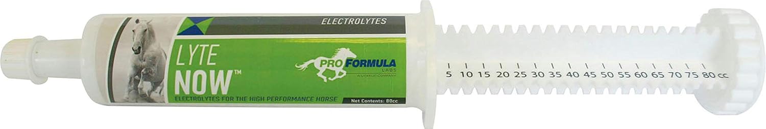 Uckele Lyte Now Syringe for Horses - Full Spectrum Electrolyte Paste - Equine Mineral Replenishment - 3 Doses - 80 CC