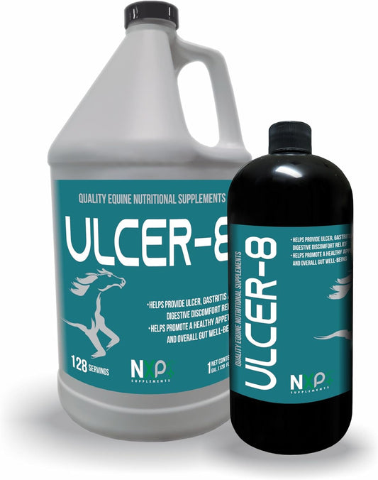 Ulcer-8 Horse Supplement for Gastritis, Colic Relief, and Digestion Support - 32 oz by NXP Supplements