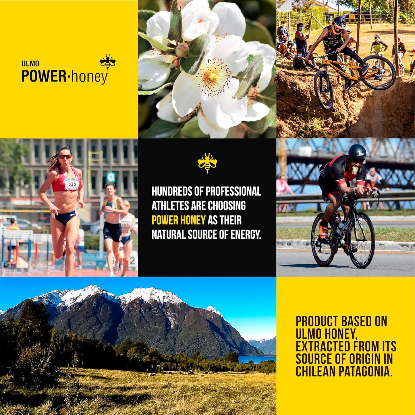 ULMO POWER· HONEY Classic Energy Gel Pack - 24 Units, 1.3 Oz Each - Caffeine-Free Formula
