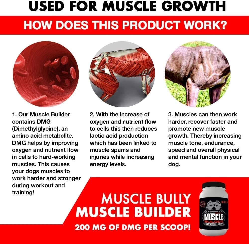 Ultimate Canine Muscle Builder - Enhances Muscle Growth, Size, Definition, and Endurance with Clinically Proven Ingredients.