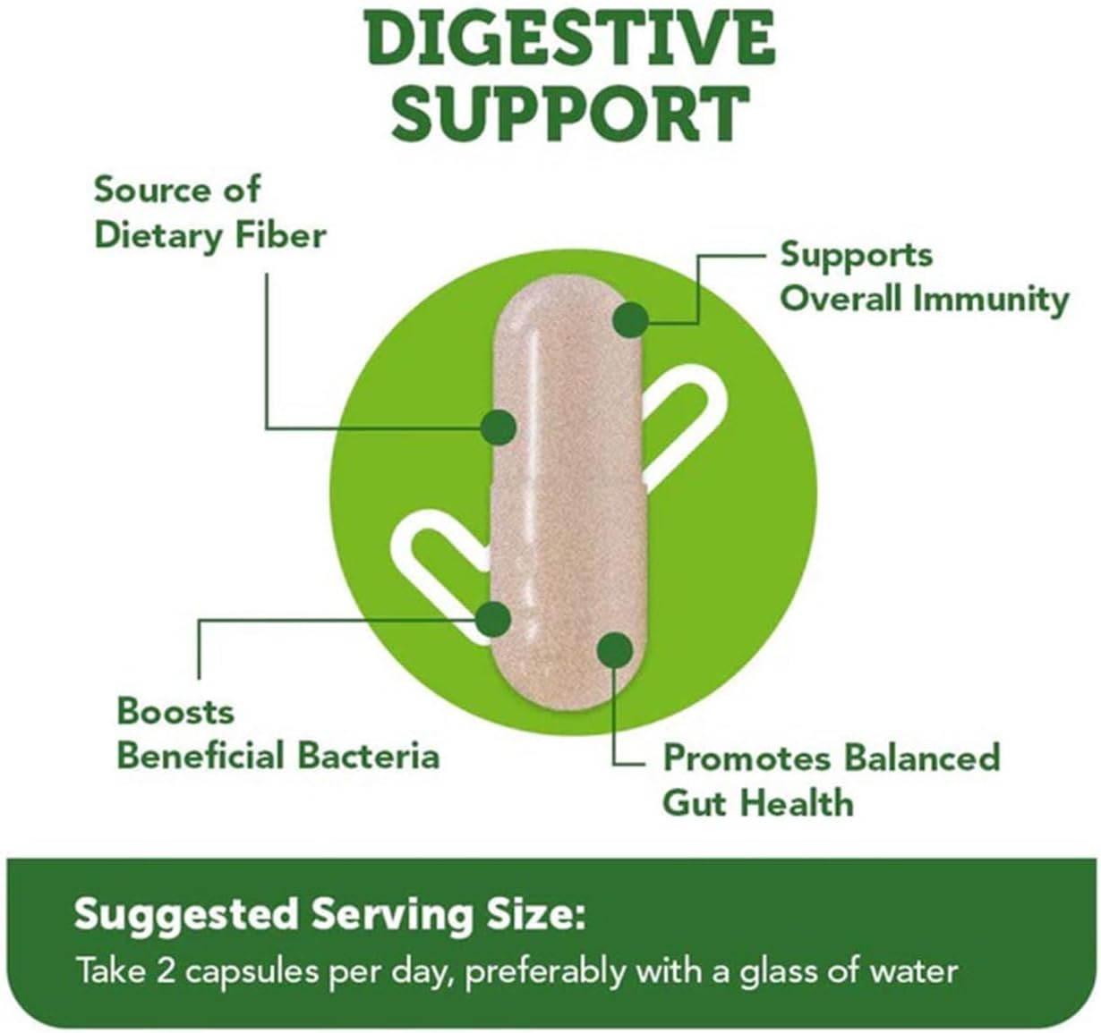 Ultimate Gut Health Bundle: Pro-100 Probiotics & Prebiotic Fiber with 13 Strains, 100 Billion CFUs, Zinc & Vitamin C - 90 Capsules
