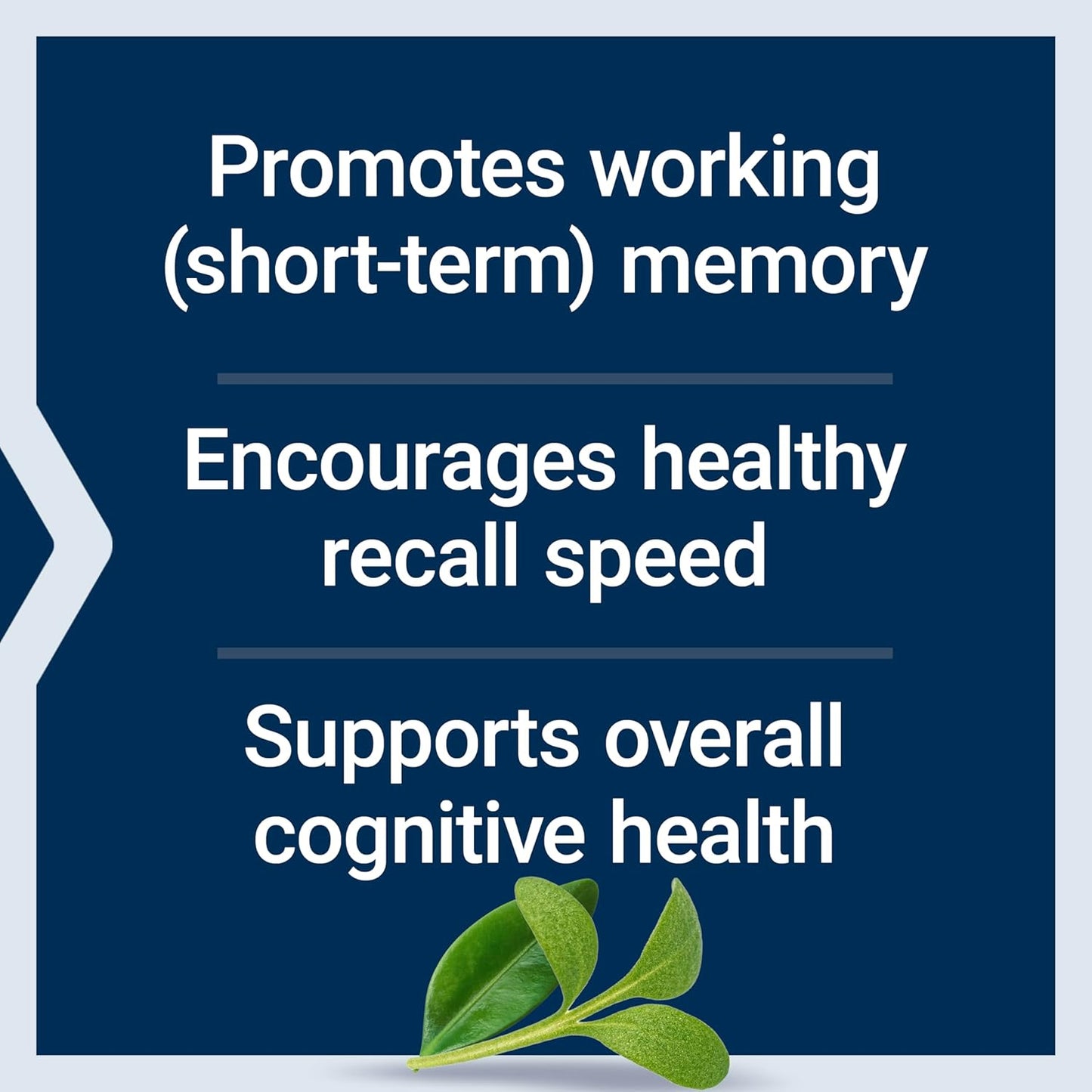 Ultra-Absorbable Neuro-Mag Magnesium L-Threonate Powder - Support Memory, Focus, Cognitive Function & Mood - Tropical Punch Flavor - Gluten-Free, Non-GMO, Vegetarian - 30 Servings