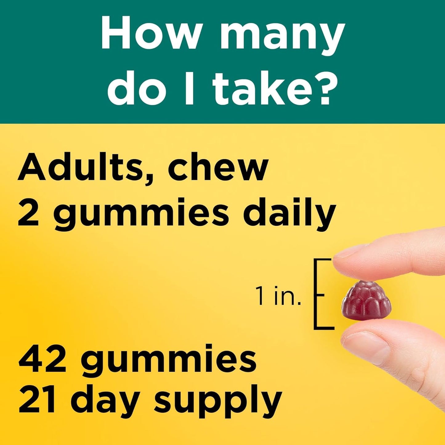 Ultra Strength Digestive Probiotic Gummies for Women and Men - 42 Gummies, 21 Day Supply