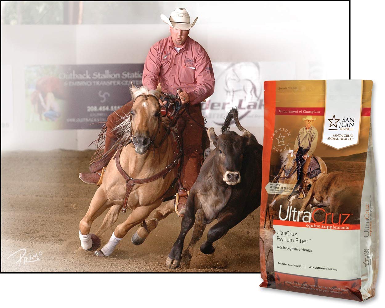 UltraCruz Equine Psyllium Fiber Pellet Supplement, 10 lb - 32 Day Supply for Horses