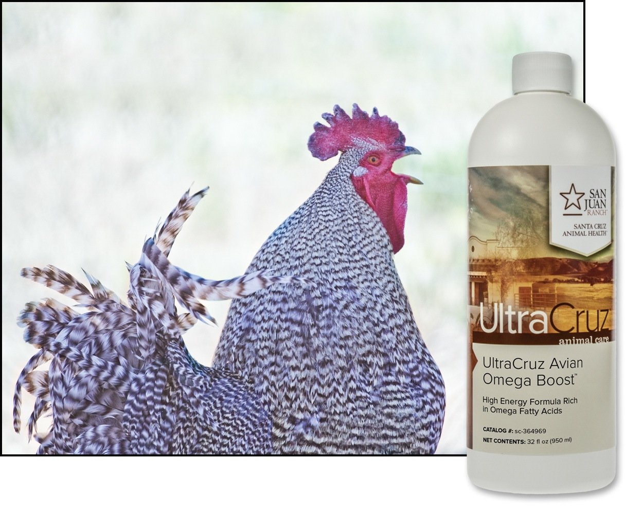UltraCruz Poultry Omega Boost Supplement - 32 oz Bottle