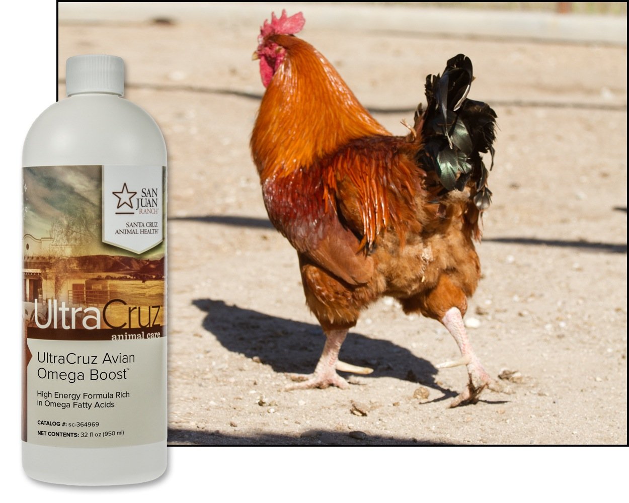 UltraCruz Poultry Omega Boost Supplement - 32 oz Bottle