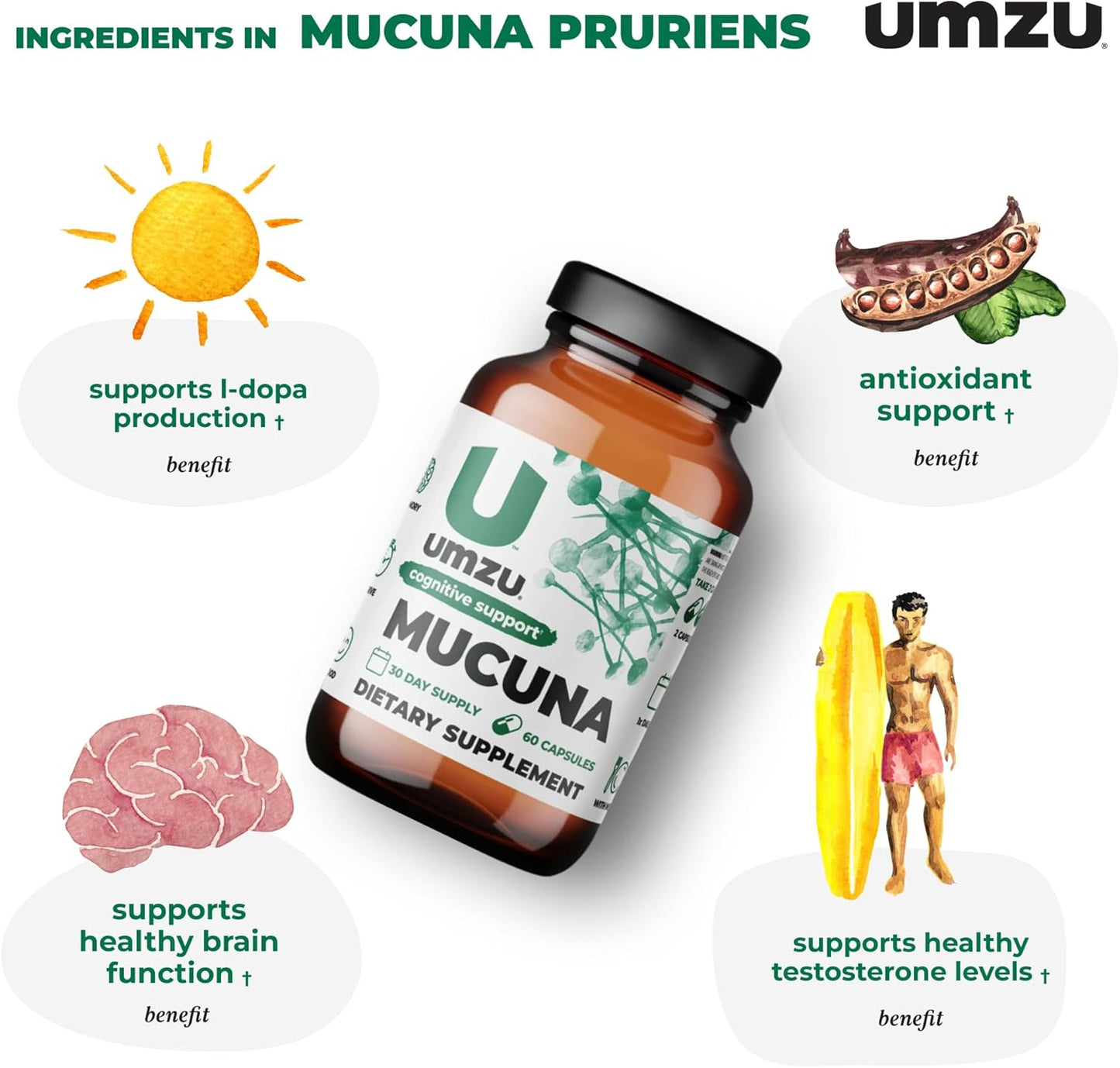 UMZU Mucuna Pruriens Capsules - Supports Dopamine Production, Brain Health, Memory & Well-being - Antioxidants & Hormone Support - 30 Day Supply