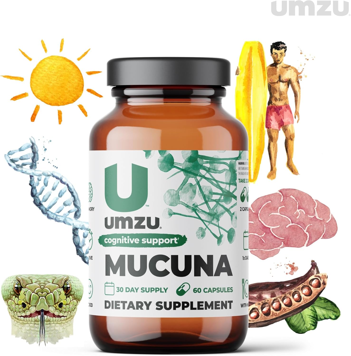 UMZU Mucuna Pruriens Capsules - Supports Dopamine Production, Brain Health, Memory & Well-being - Antioxidants & Hormone Support - 30 Day Supply