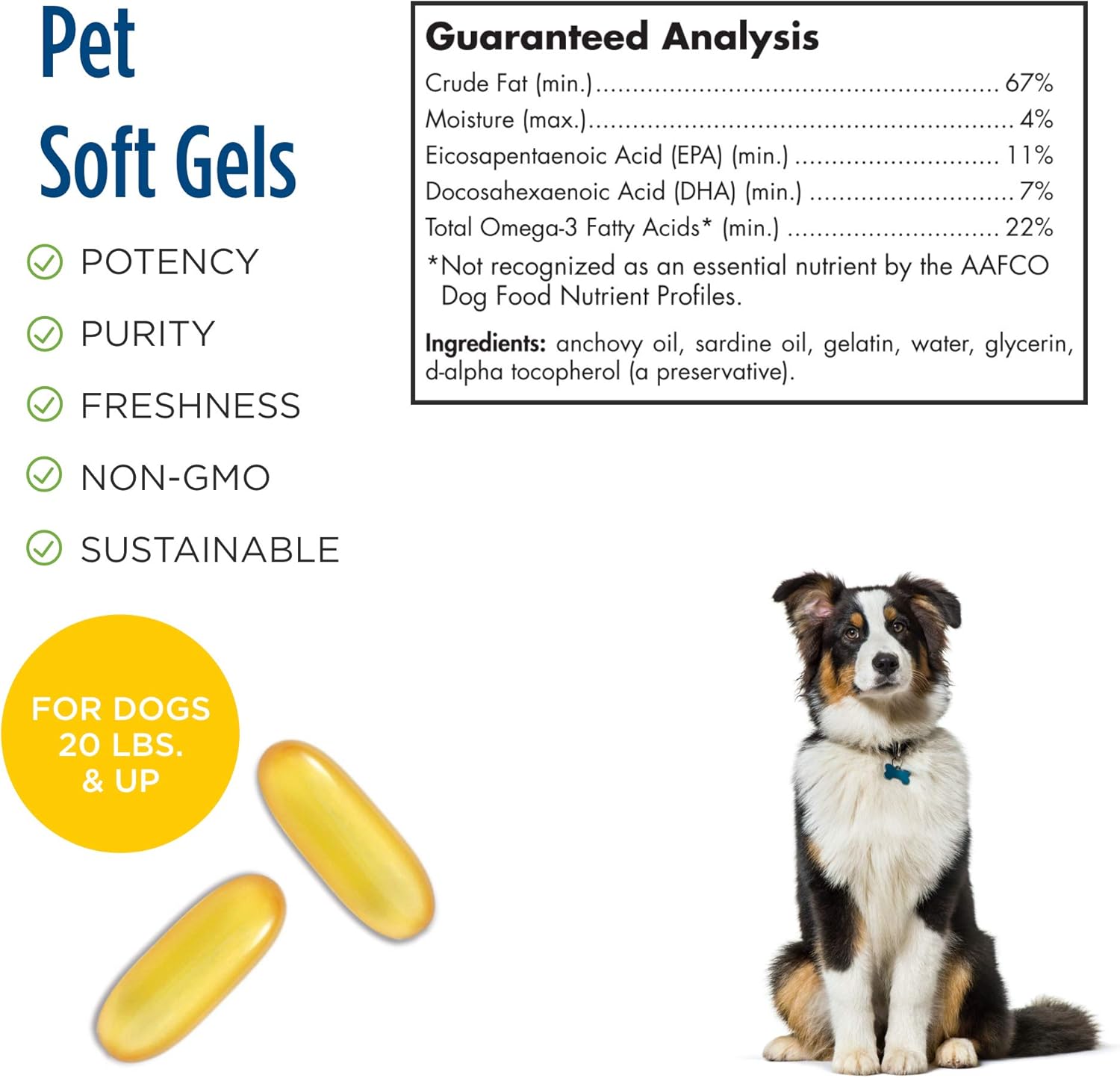Unflavored Fish Oil Soft Gels for Dogs - Nordic Naturals Omega-3 Pet - 120 Soft Gels - 330mg Omega-3 - Supports Heart, Skin, Coat, & Immune Health