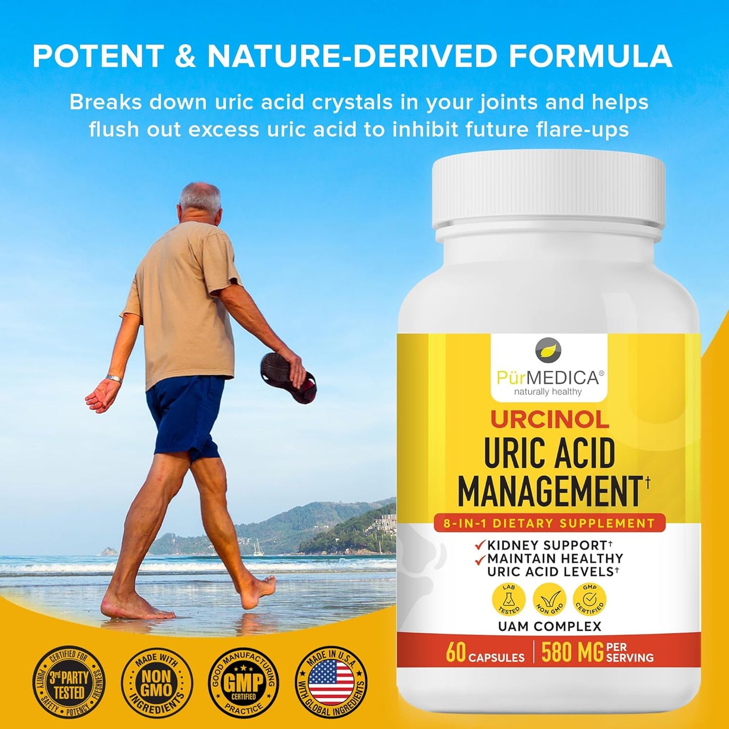 Uric Acid Support Supplement with Turmeric Root & Acai - 2 Pack - 60ct Joint Support Formula with Banaba Leaf & Celery Seed