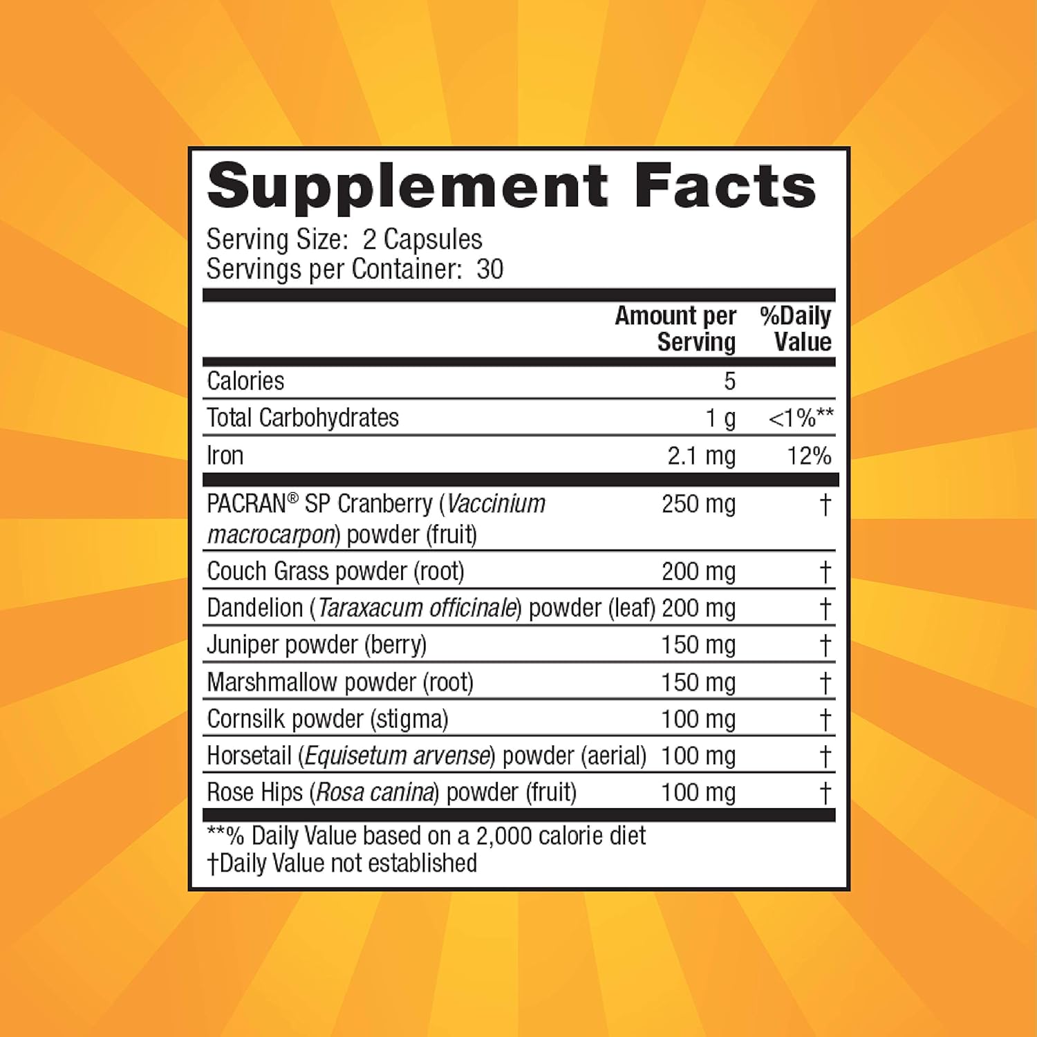 Urinary Flush & Support with Cranberry - Promotes Healthy Bladder & Urinary Tract - 8 Botanical Blends - Detox & Elimination - 60 Capsules