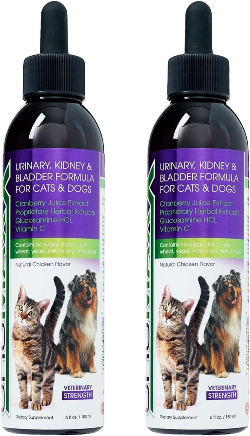 UroMAXX Urinary Tract Treatment for Cats & Dogs - Bladder & Kidney Support - Liquid Cranberry & Glucosamine - Chicken Flavor - 6 oz Bottle, 2 Pack