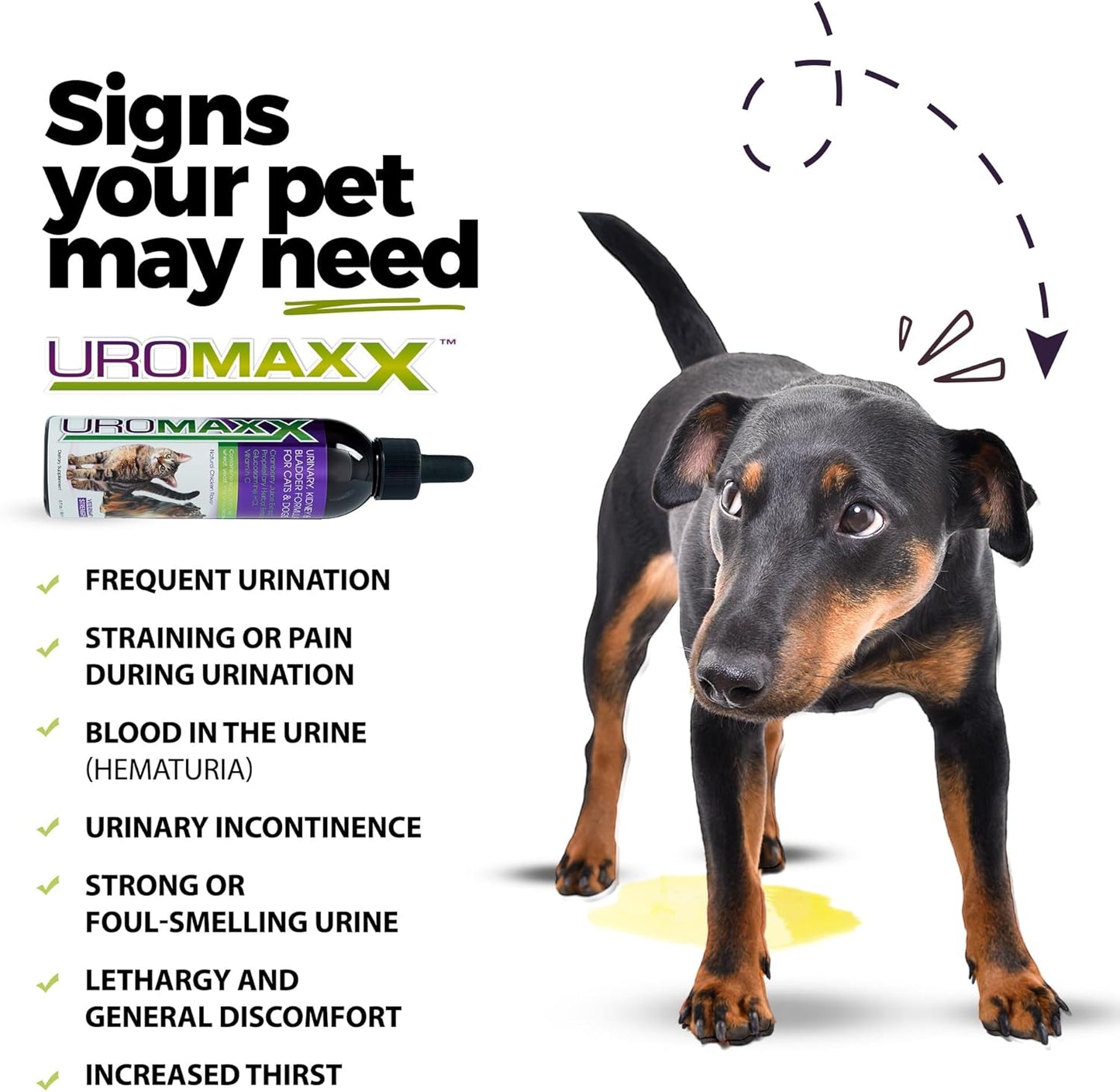 UroMAXX Urinary Tract Treatment for Cats & Dogs - Bladder & Kidney Support - Liquid Cranberry & Glucosamine - Chicken Flavor - 6 oz Bottle, 2 Pack