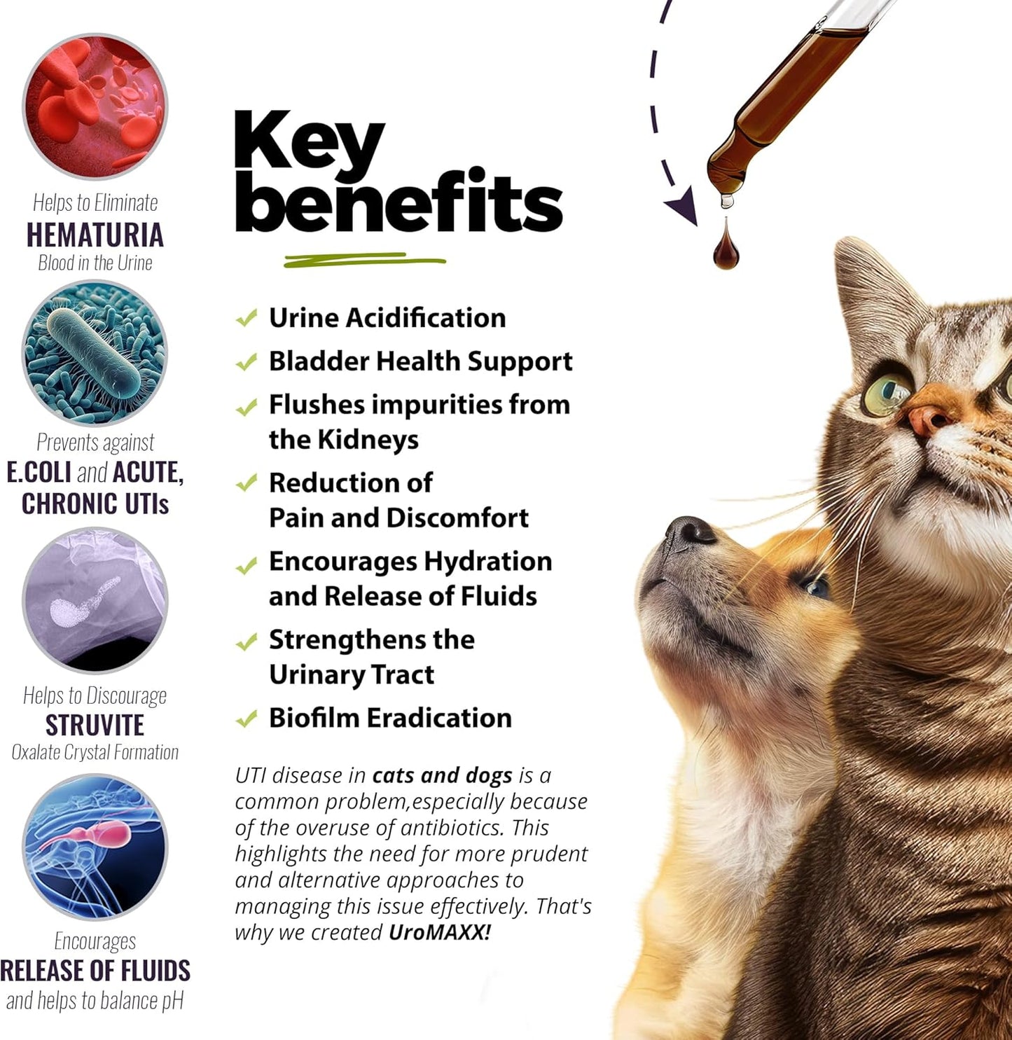 UroMAXX Urinary Tract Treatment for Cats & Dogs - Bladder & Kidney Support - Liquid Cranberry & Glucosamine - Chicken Flavor - 6 oz Bottle, 2 Pack