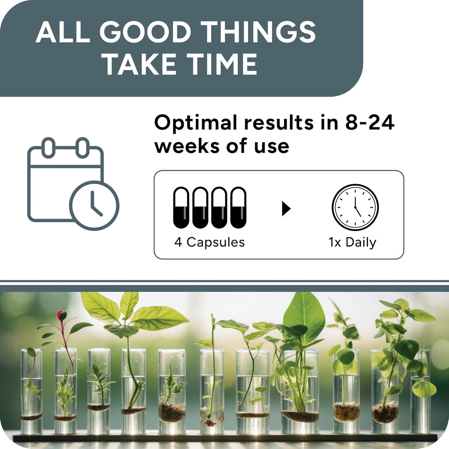 UROPROSTIS Prostate Support Complex - High Potency Men's Health Formula - Saw Palmetto & 13 Ingredient Blend - Vegan & Gluten-Free - 120 Capsules