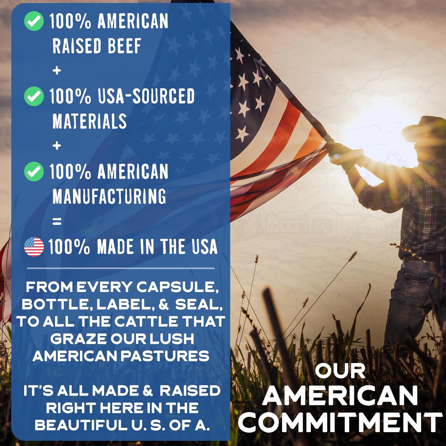 USA Grass Fed Beef Liver Capsules | Non GMO & Hormone Free | Immunity & Energy Booster | Rich in Vitamin A & B-12 | Freeze Dried (180ct, 3000mg)