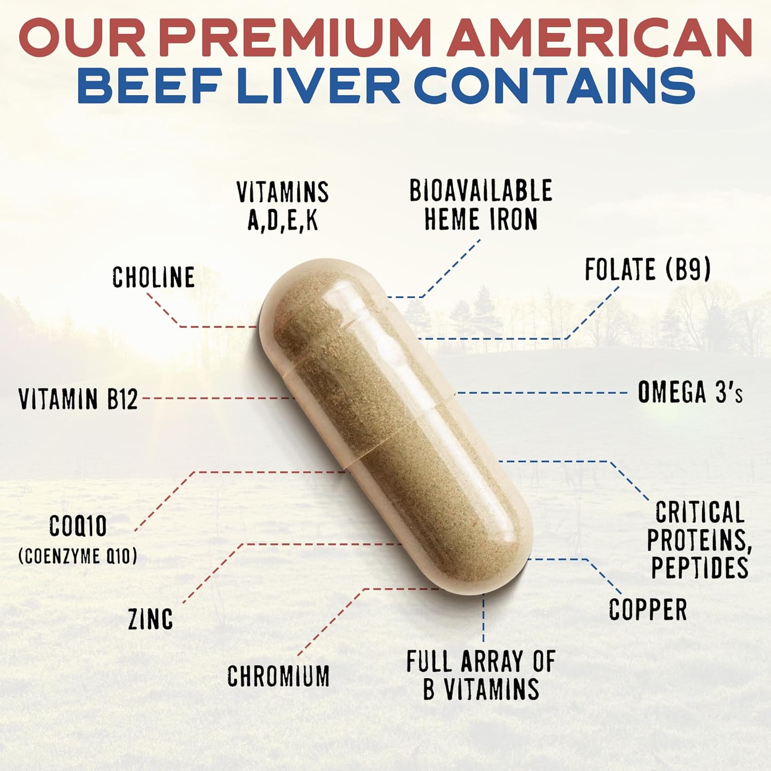 USA Grass Fed Beef Liver Capsules | Non GMO & Hormone Free | Immunity & Energy Booster | Rich in Vitamin A & B-12 | Freeze Dried (180ct, 3000mg)