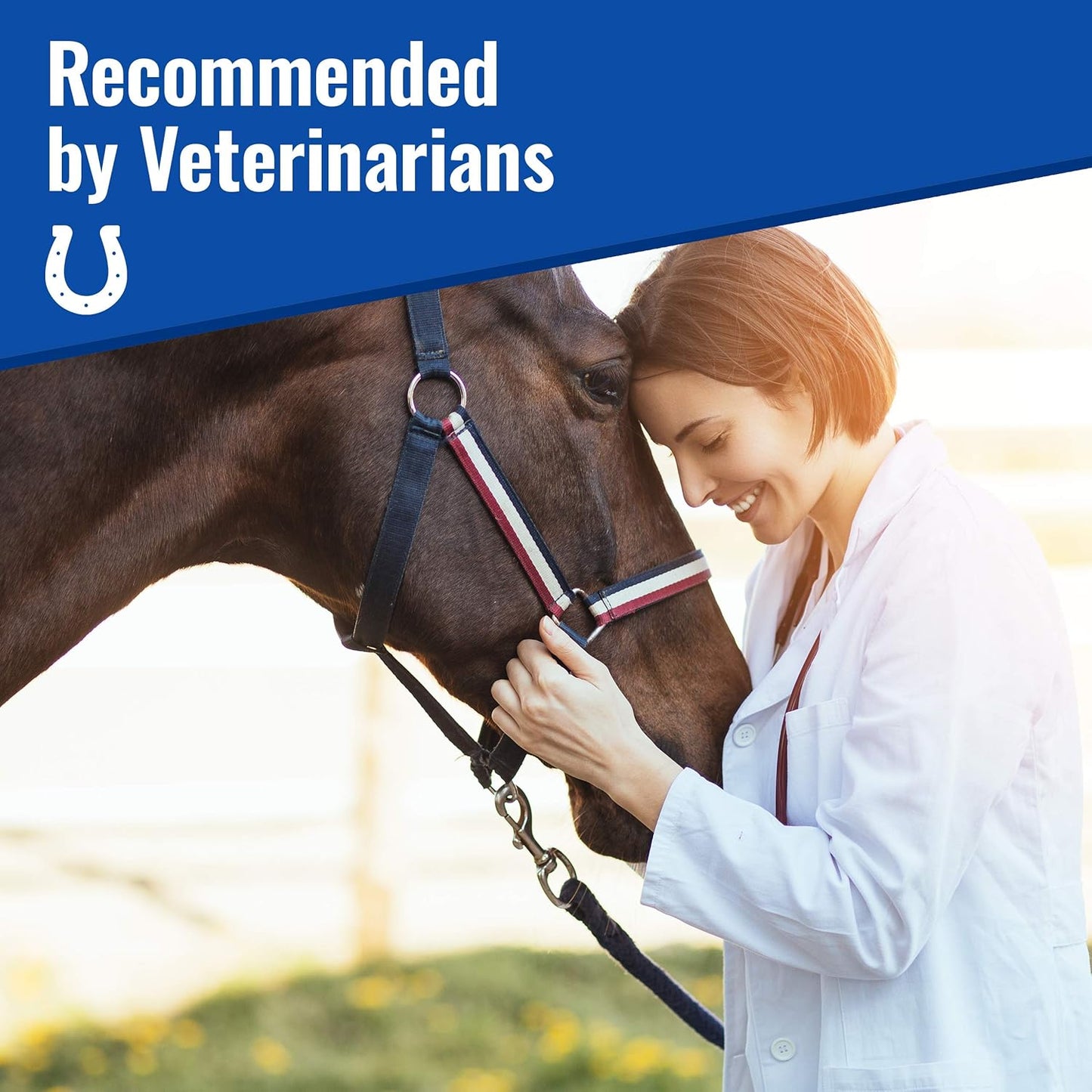 USA Grown Organic Mushroom Powder for Horses | Show Safe Equine Supplement | 300g | Wellness & Recovery Support