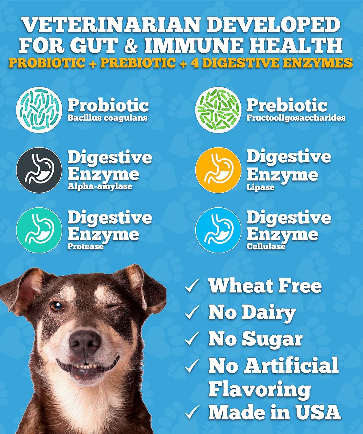 USA-Made Dog Probiotics for Gut Health, Yeast Balance, Itchy Skin, and Digestive Support - Vet Developed Chews with Prebiotic & Enzymes for Relief