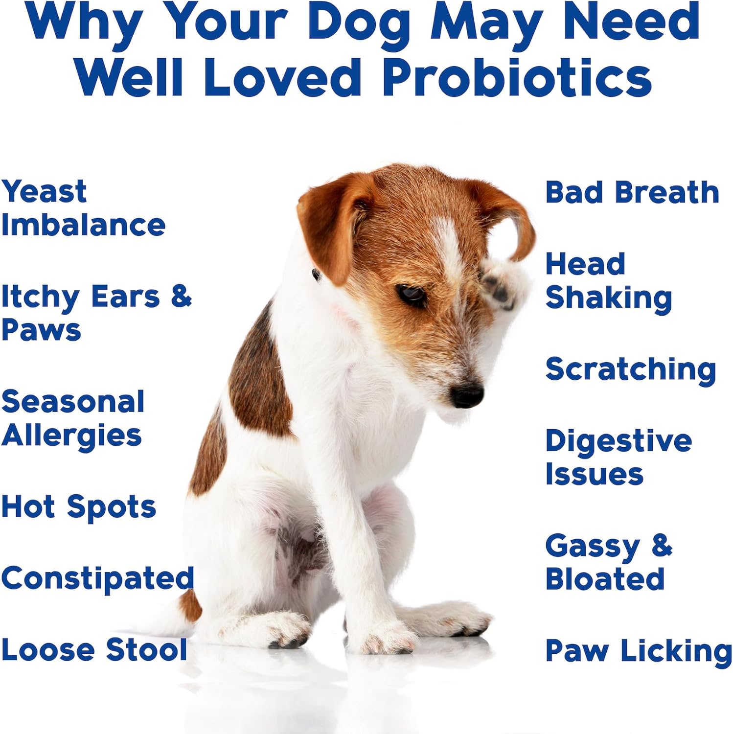 USA-Made Dog Probiotics for Gut Health, Yeast Balance, Itchy Skin, and Digestive Support - Vet Developed Chews with Prebiotic & Enzymes for Relief