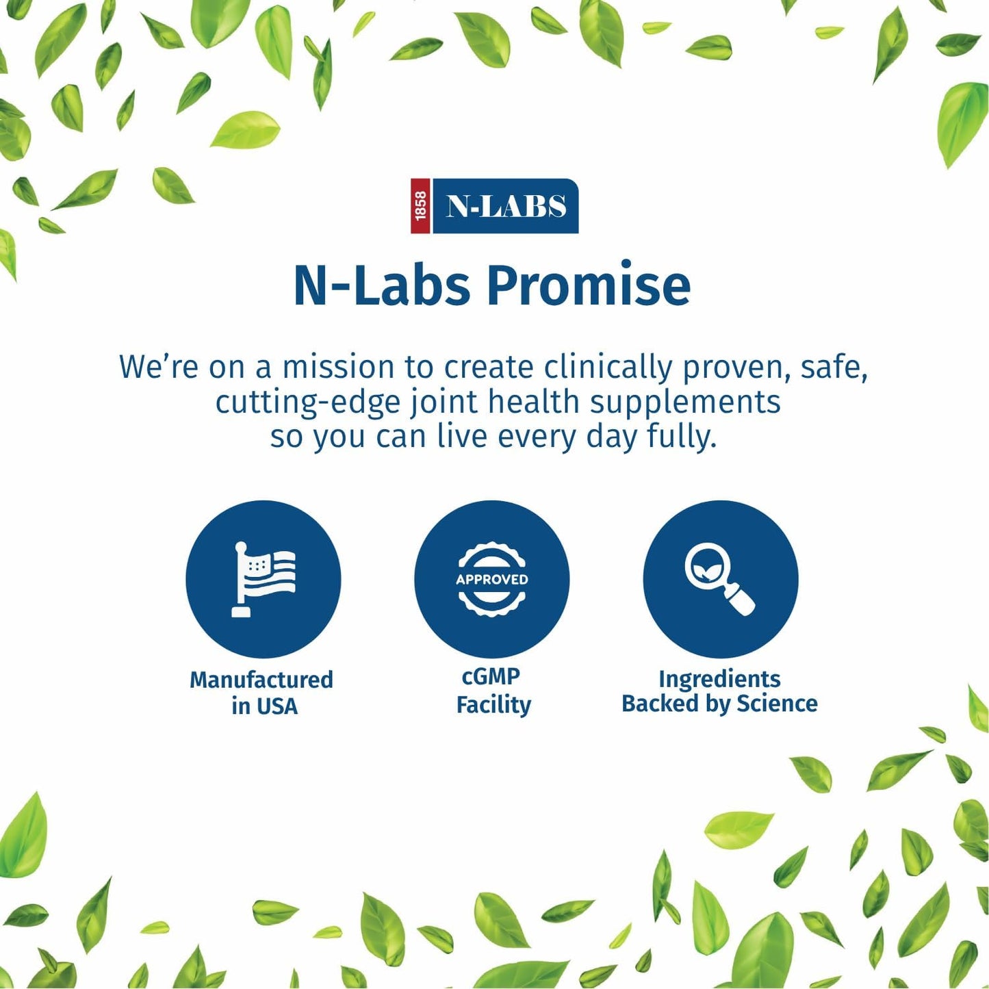 USA-Made Joint Supplement Capsules with Glucosamine, Chondroitin, MSM, Boswellia, Turmeric & Quercetin - Supports Joint Health for Men and Women - 60 Caps