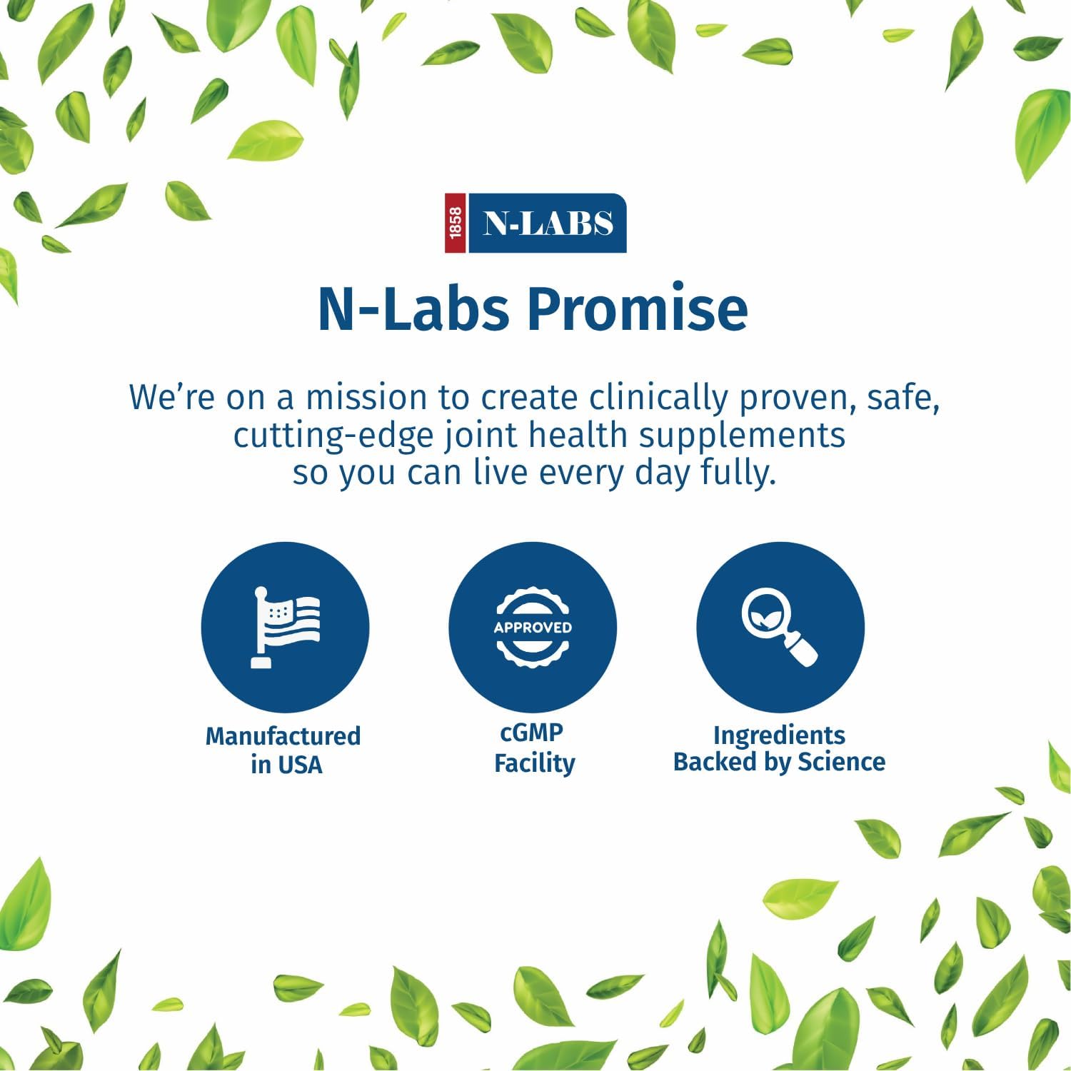 USA-Made Joint Supplement Capsules with Glucosamine, Chondroitin, MSM, Boswellia, Turmeric & Quercetin - Supports Joint Health for Men and Women - 60 Caps