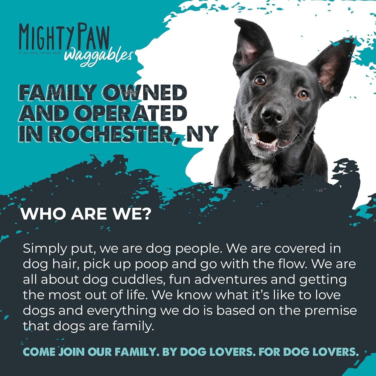 USA-Made Mighty Paw Waggables Cran-Bladder: Cranberry Chews for Dogs. Supports Urinary Tract, Kidney, & Bladder Health. Antioxidant Immune Support (120 Count)