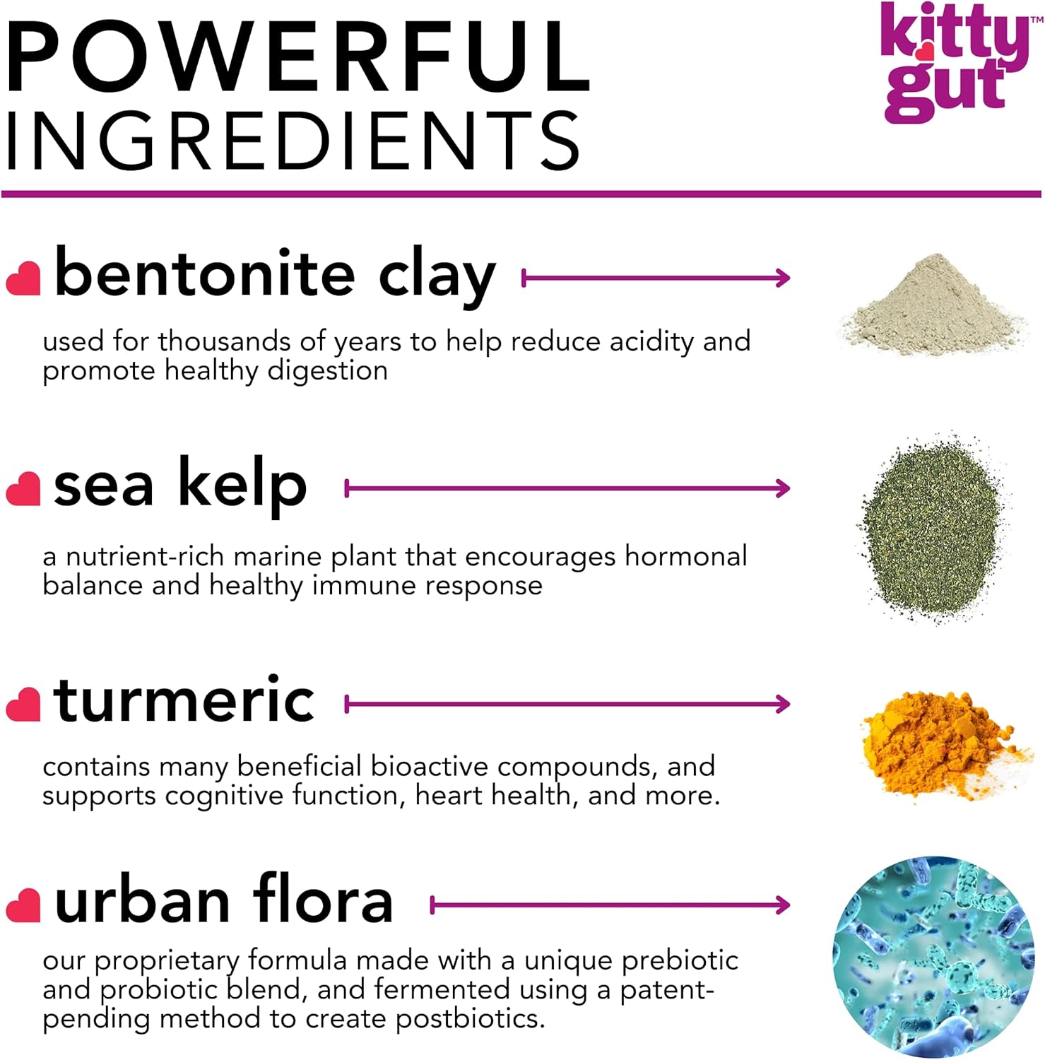 USA-Made MUTTGUT KittyGut Organic 3-in-1 Probiotic Supplement for Cats - Promotes Gut Health, Digestive Support, Diarrhea, Vomiting - 90g