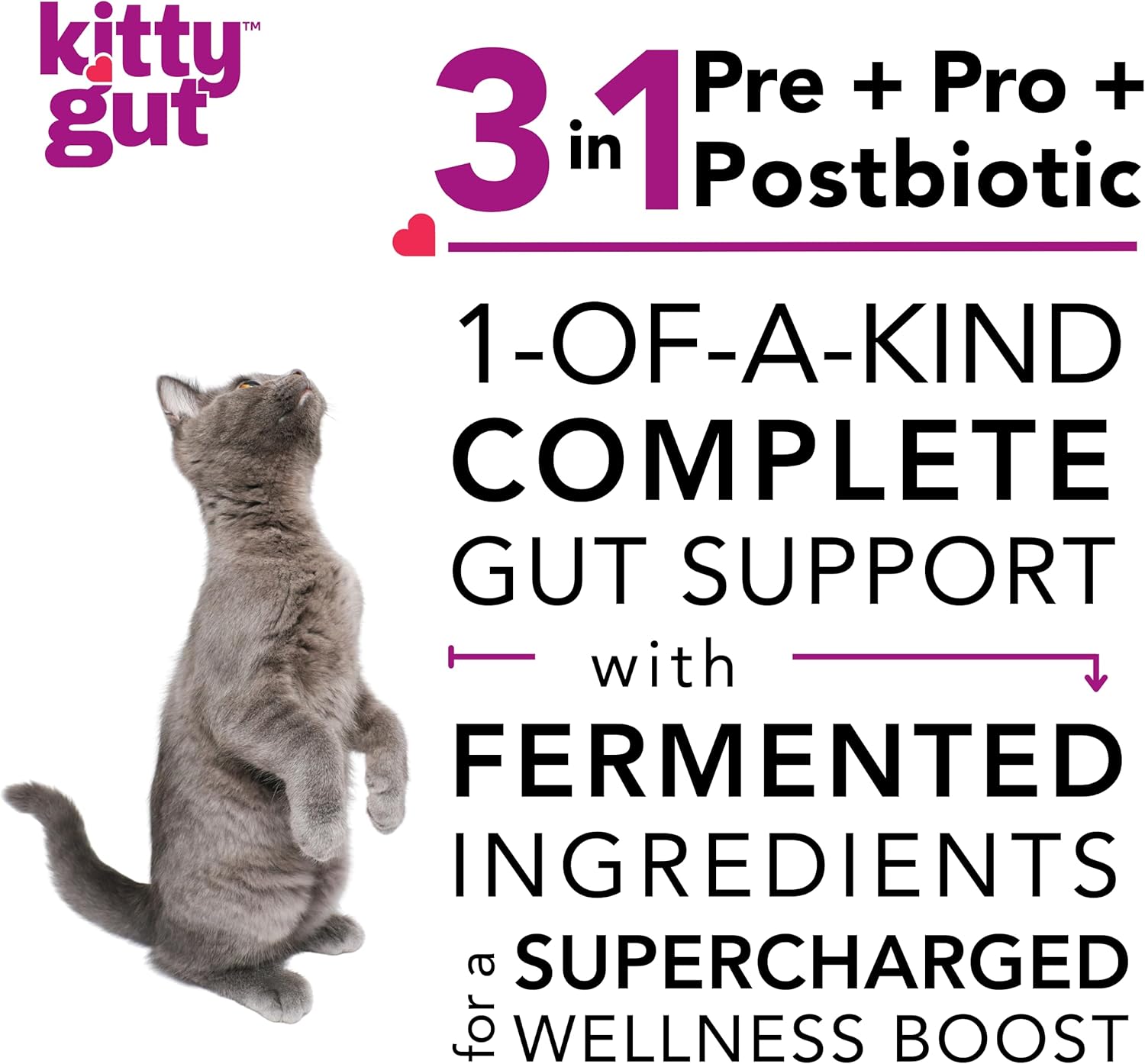 USA-Made MUTTGUT KittyGut Organic 3-in-1 Probiotic Supplement for Cats - Promotes Gut Health, Digestive Support, Diarrhea, Vomiting - 90g