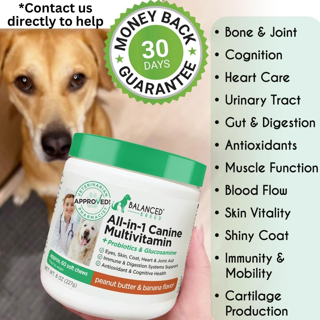 USA-Made Non-GMO Dog Vitamins: Multivitamin, Probiotics, Glucosamine, Salmon Oil, Immune Support for Senior & Adult Dogs