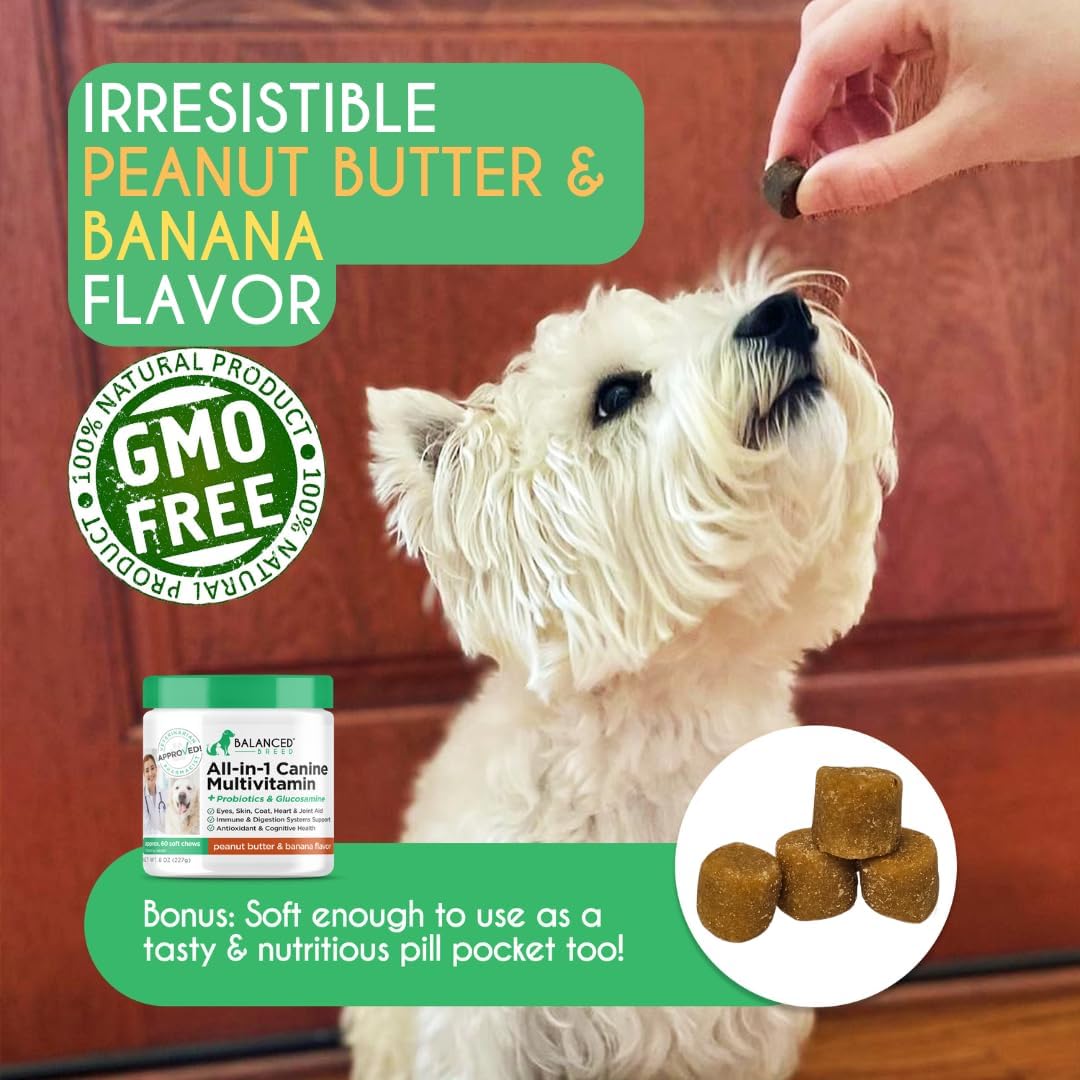 USA-Made Non-GMO Dog Vitamins: Multivitamin, Probiotics, Glucosamine, Salmon Oil, Immune Support for Senior & Adult Dogs