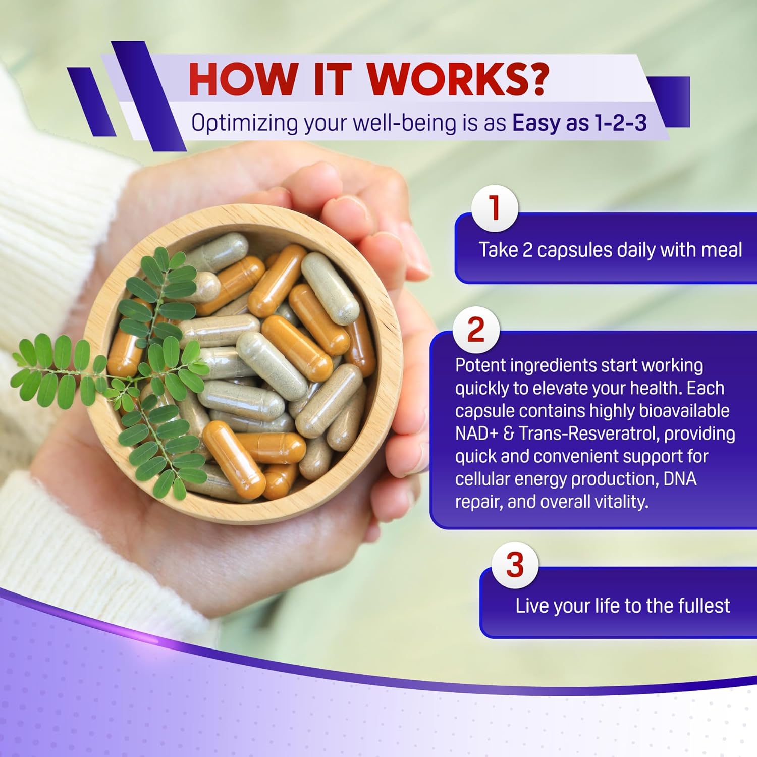 USA-Made PeakPury NAD+ Trans-Resveratrol Berberine Quercetin Fisetin Milk Thistle Supplement